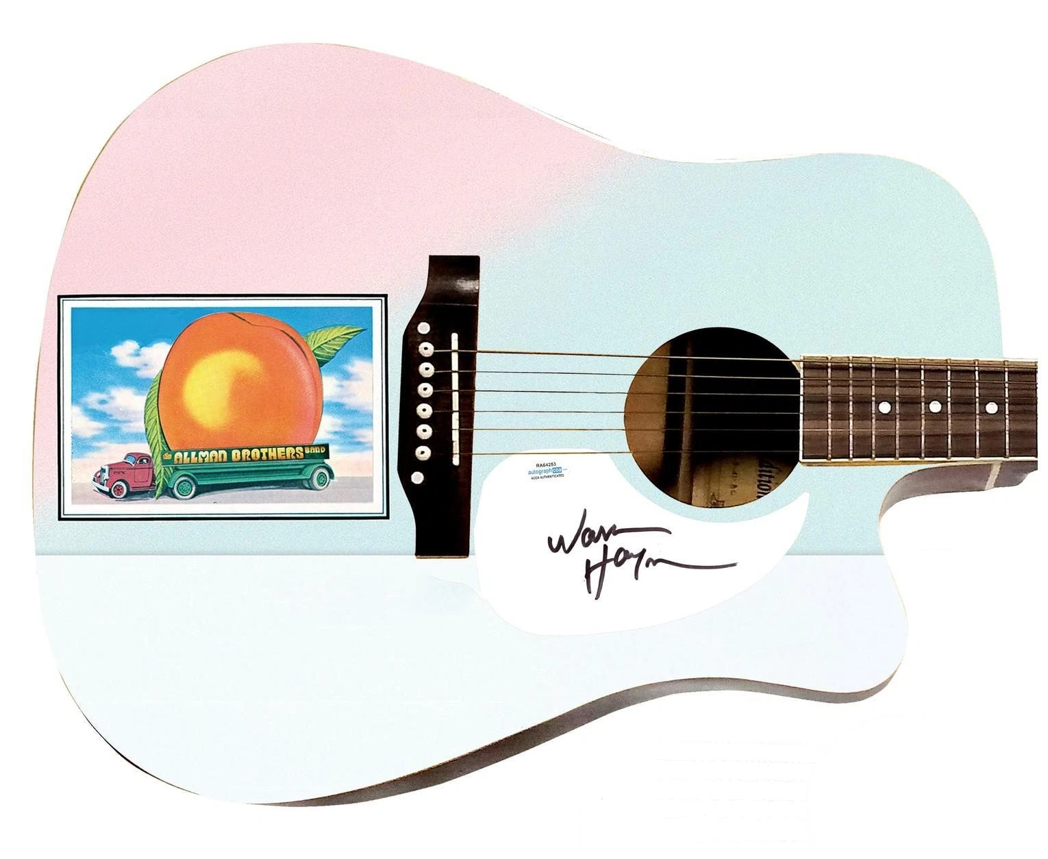 Allman Brothers Band Warren Haynes Signed 1:1 Graphics Photo Guitar ACOA
