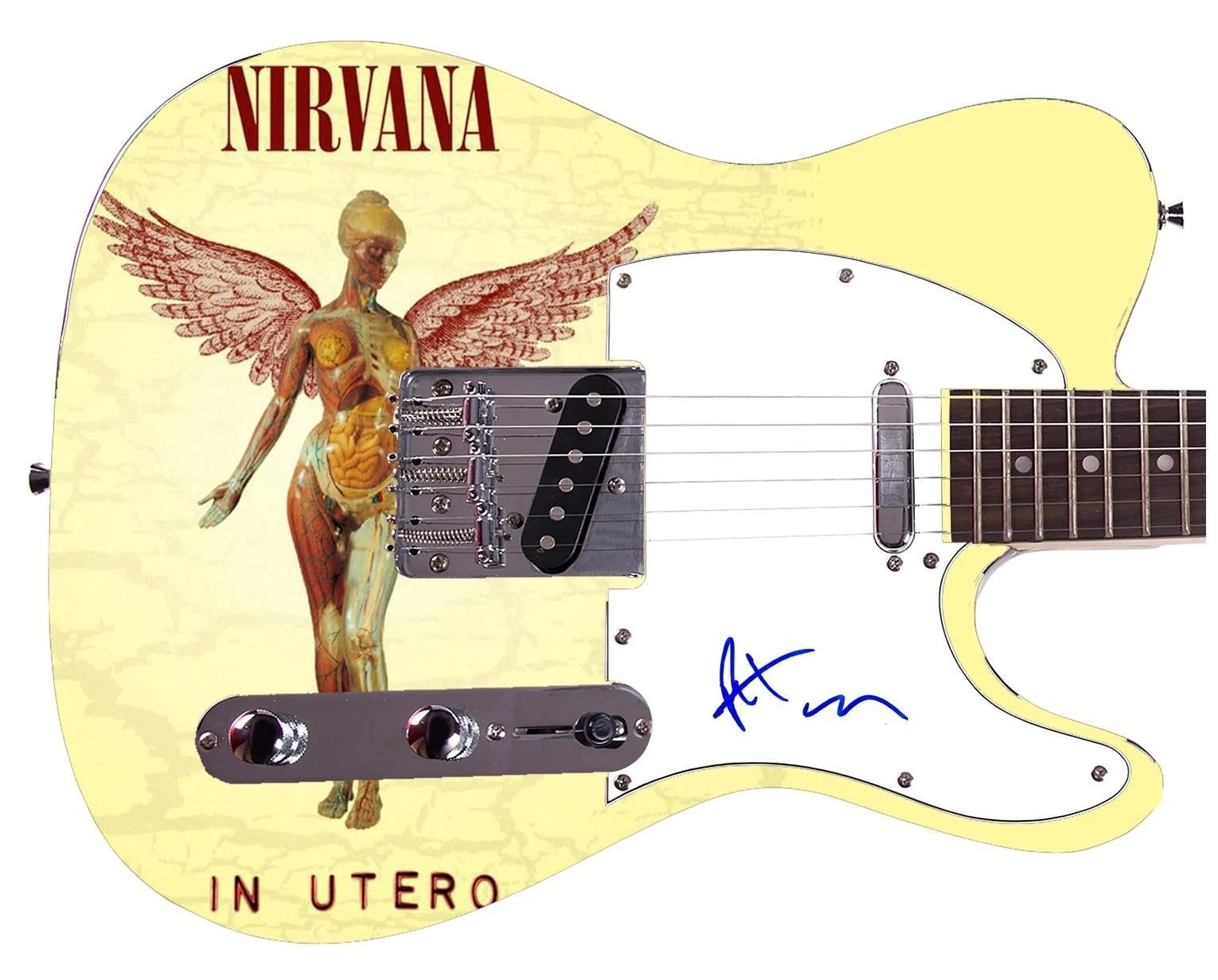 Nirvana Pat Smear Signed Custom 1/1 Graphics Photo Guitar