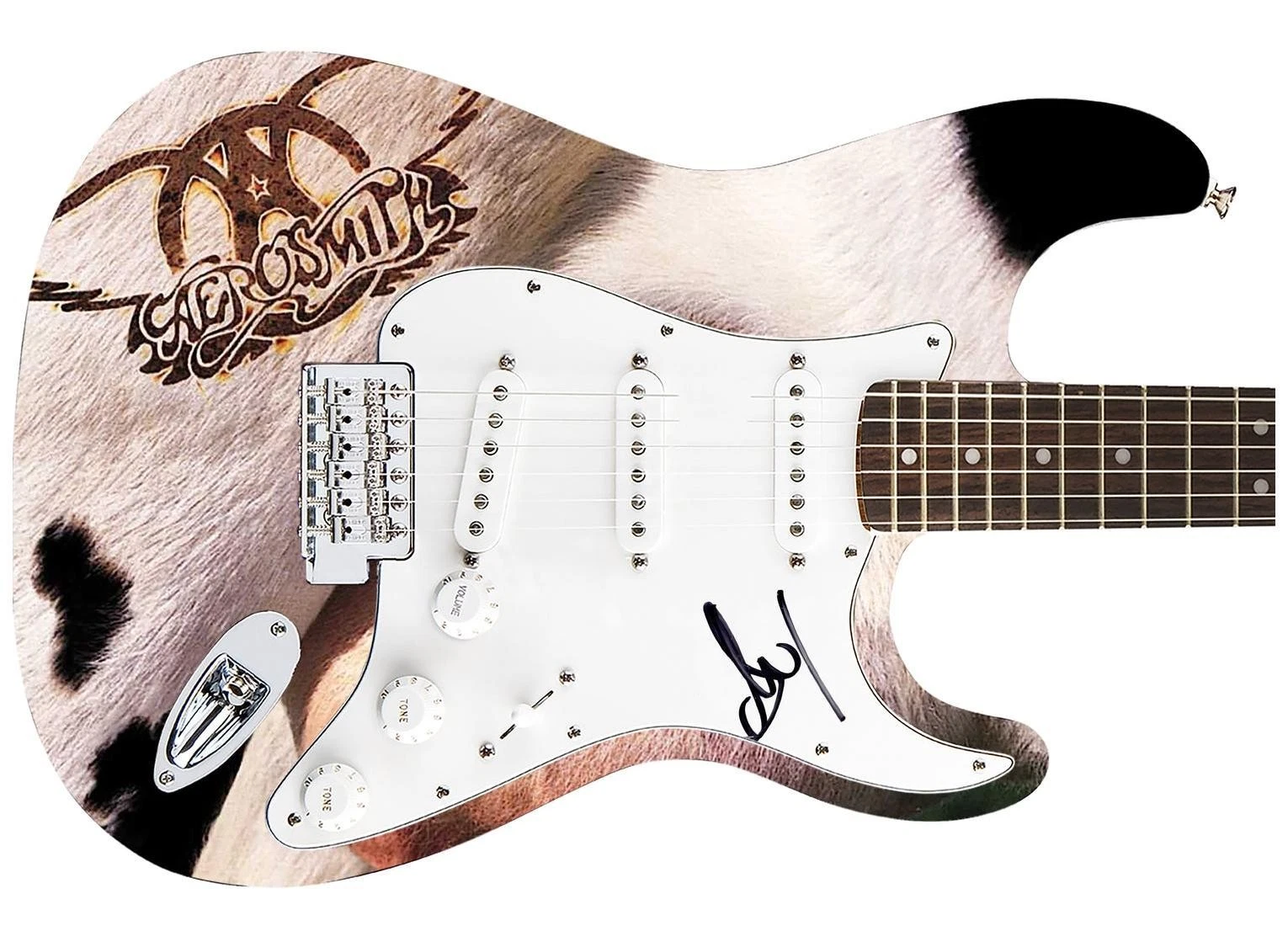 Aerosmith Steven Tyler Autographed Fender 1/1 Get A Grip Album Graphics Guitar