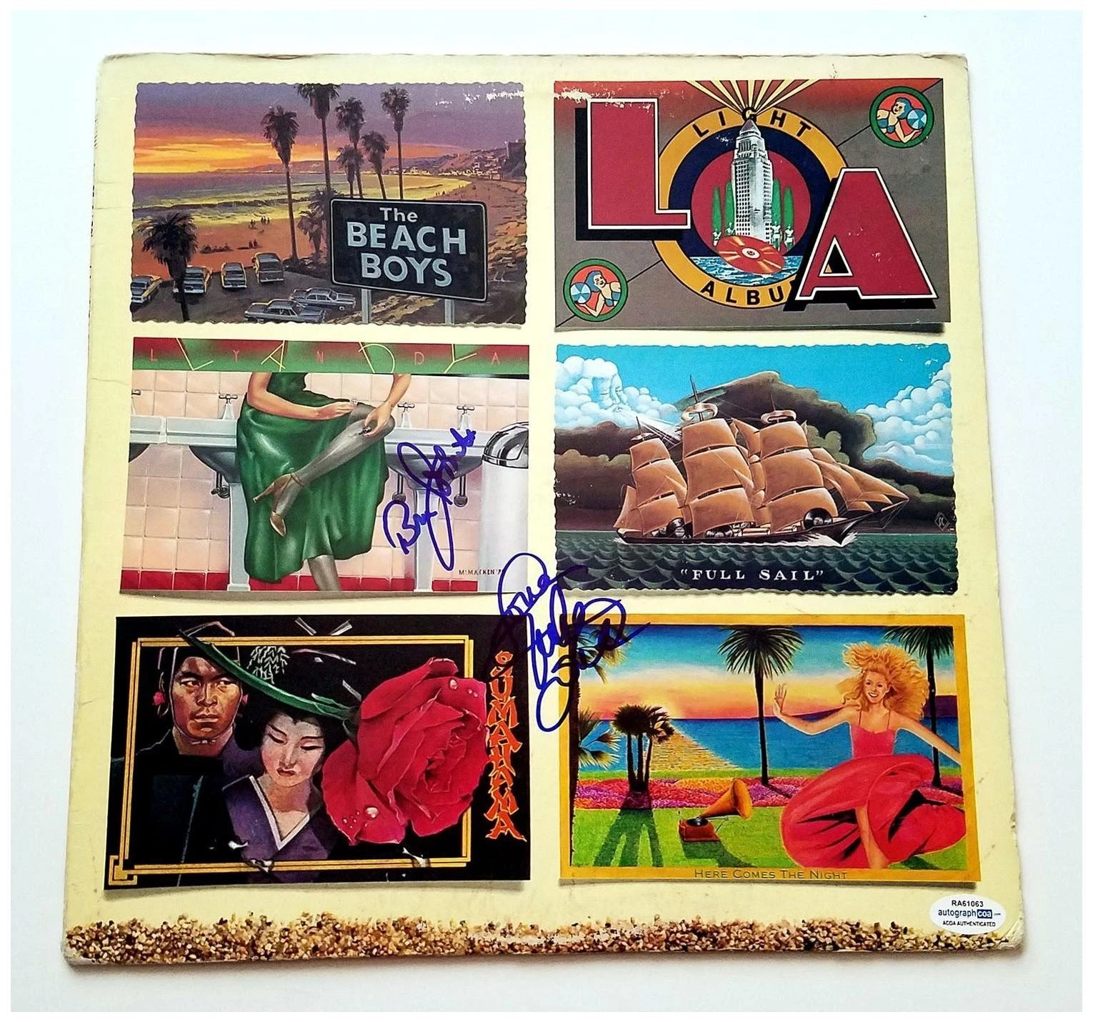 Beach Boys Signed X2 Mike & Bruce Autographed Album LP ACOA