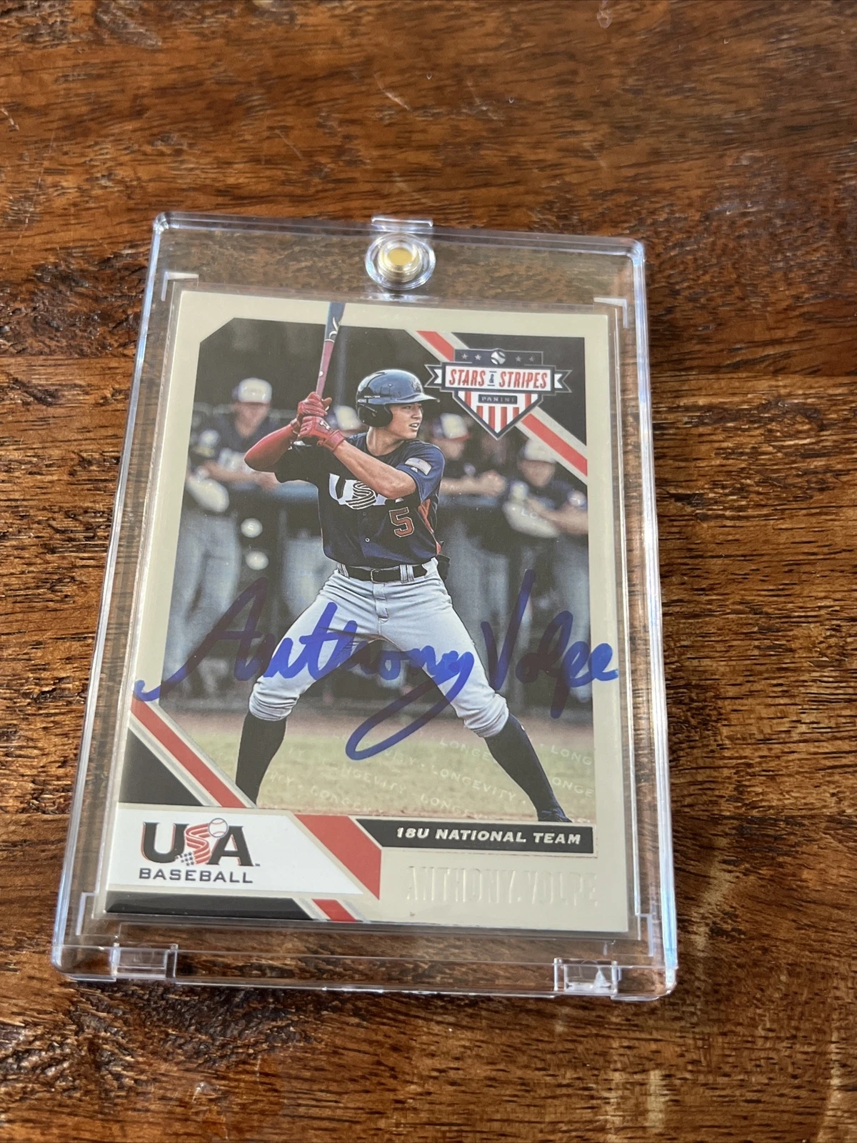 Anthony Volpe Signed Panini Stars & Stripes Card Psa Dna Coa Yankees Autographed