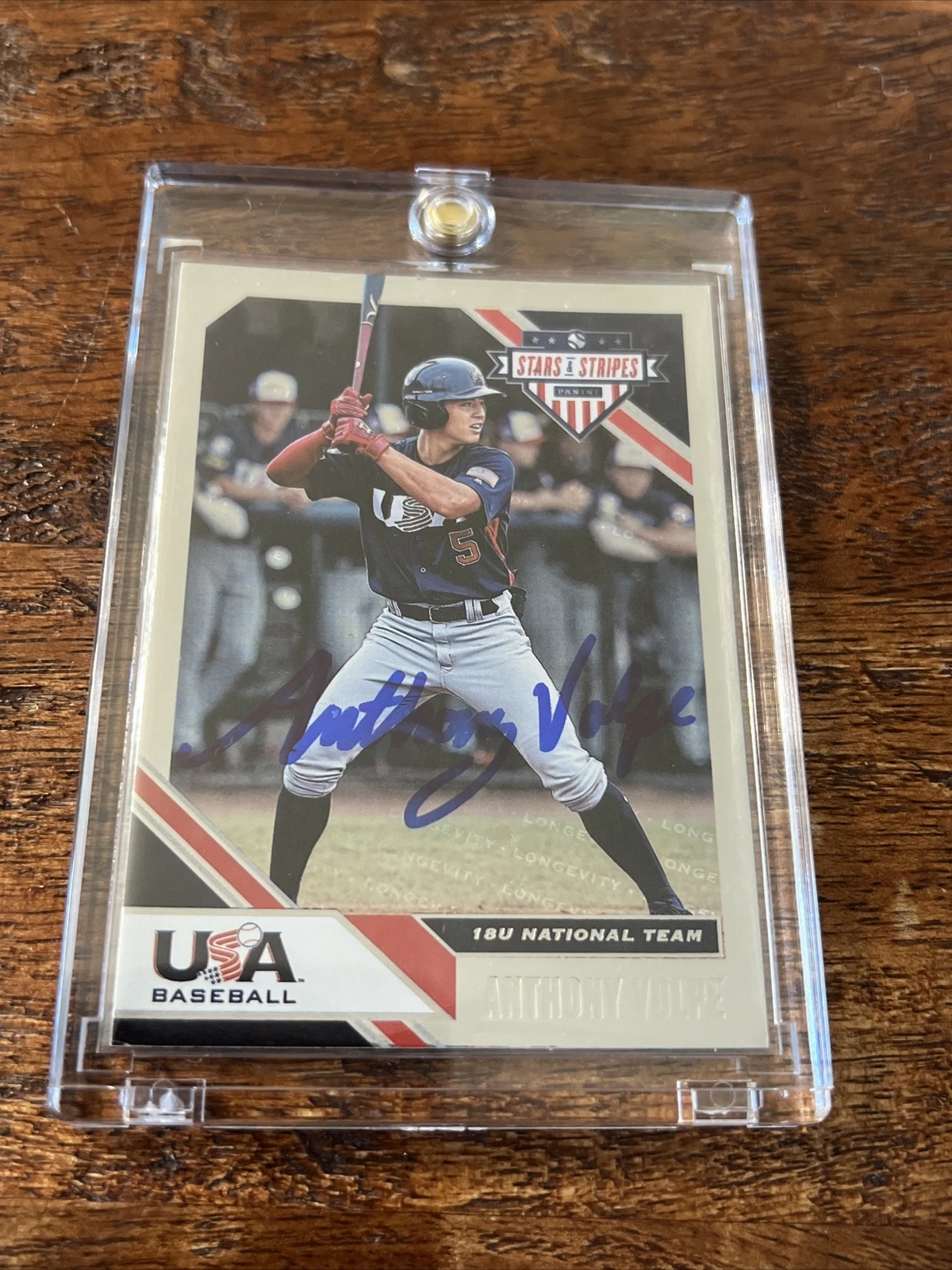 Anthony Volpe Signed Panini Stars & Stripes Card Psa Dna Coa Yankees Autographed