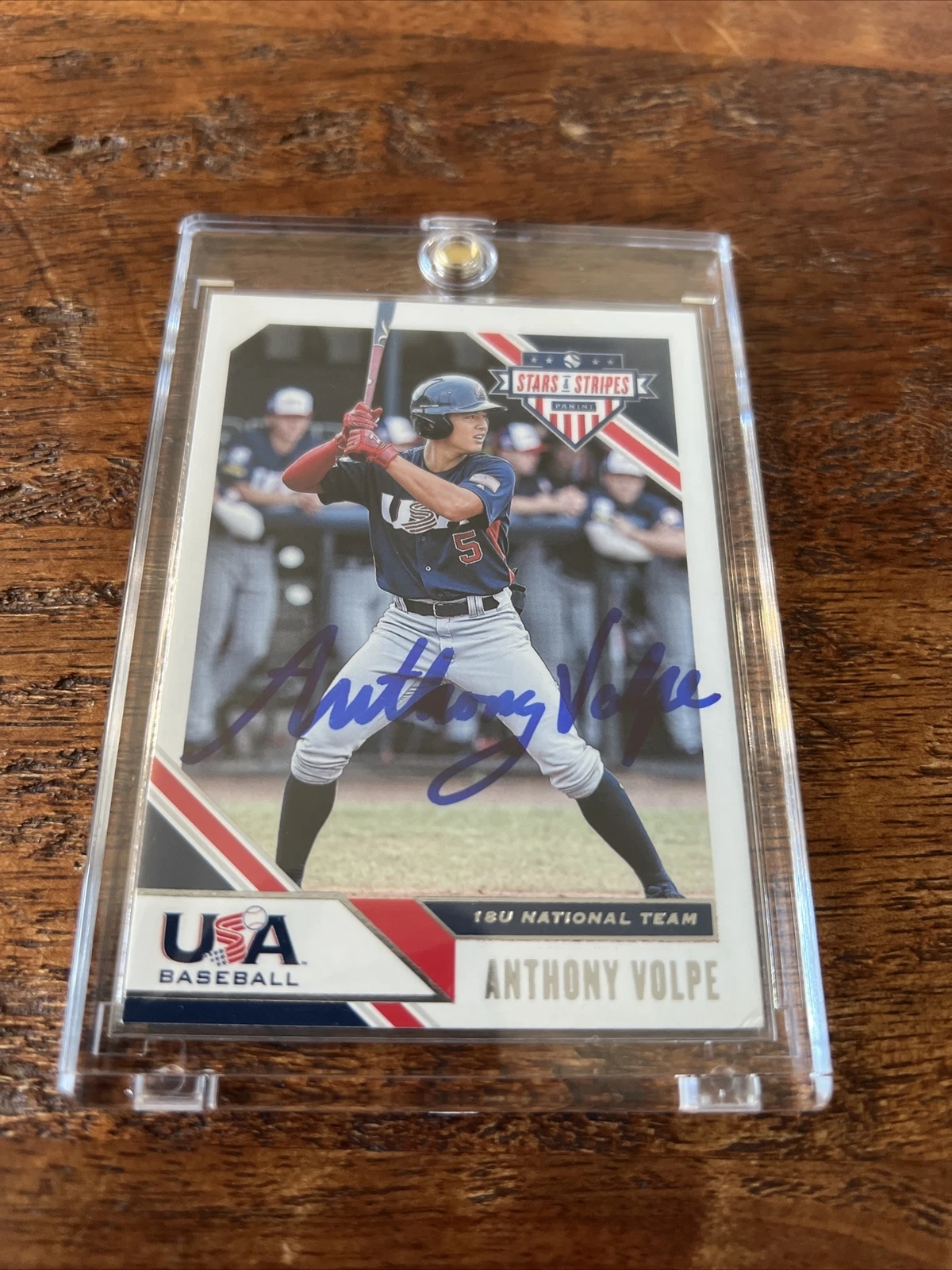 Anthony Volpe Signed Panini Stars & Stripes Card Psa Dna Coa Yankees Autographed