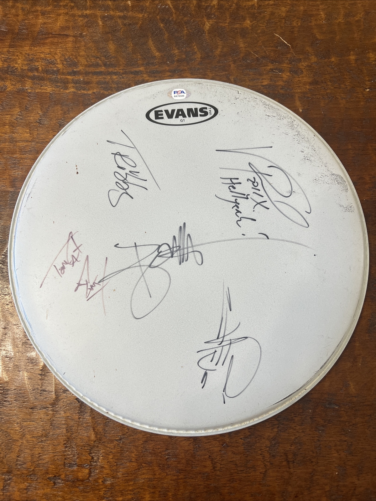 Vinnie Paul Bob Zilla Grey Maxwell Signed Evans Drum Head PSA DNA Coa HELLYEAH