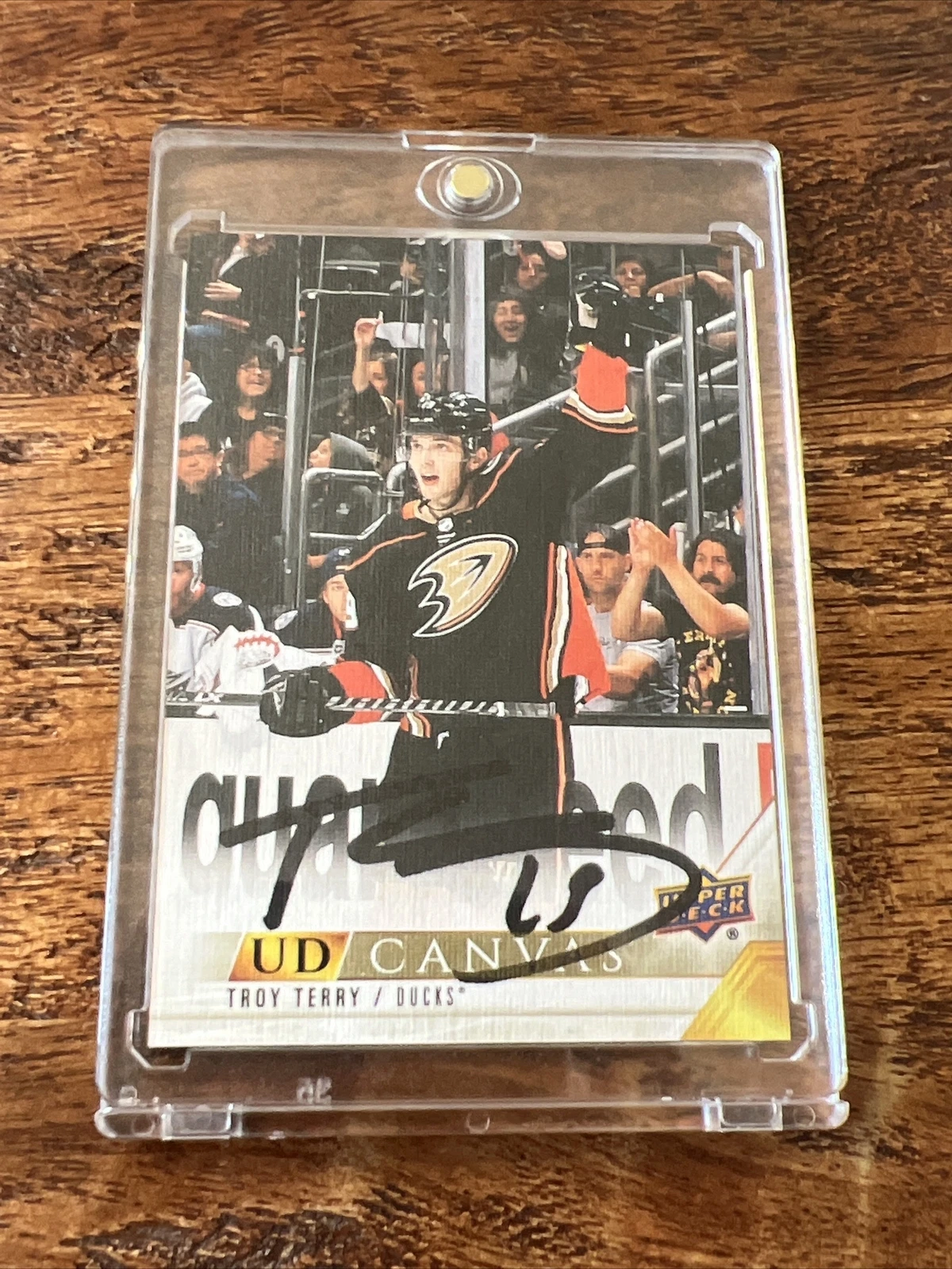 Troy Terry IP Signed Upper Deck Canvas Card JSA Coa Ducks Autographed