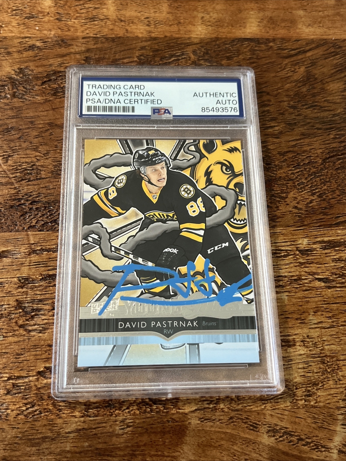David Pastrnak IP Signed Young Guns Renewed Card PSA DNA Coa Bruins Autographed