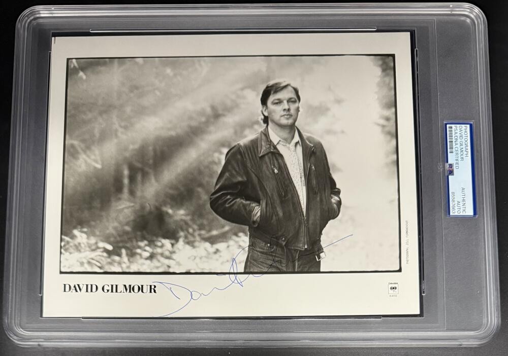 David Gilmour Pink Floyd Signed Autograph PSA/DNA COA Encapsulated 8x10 Photo