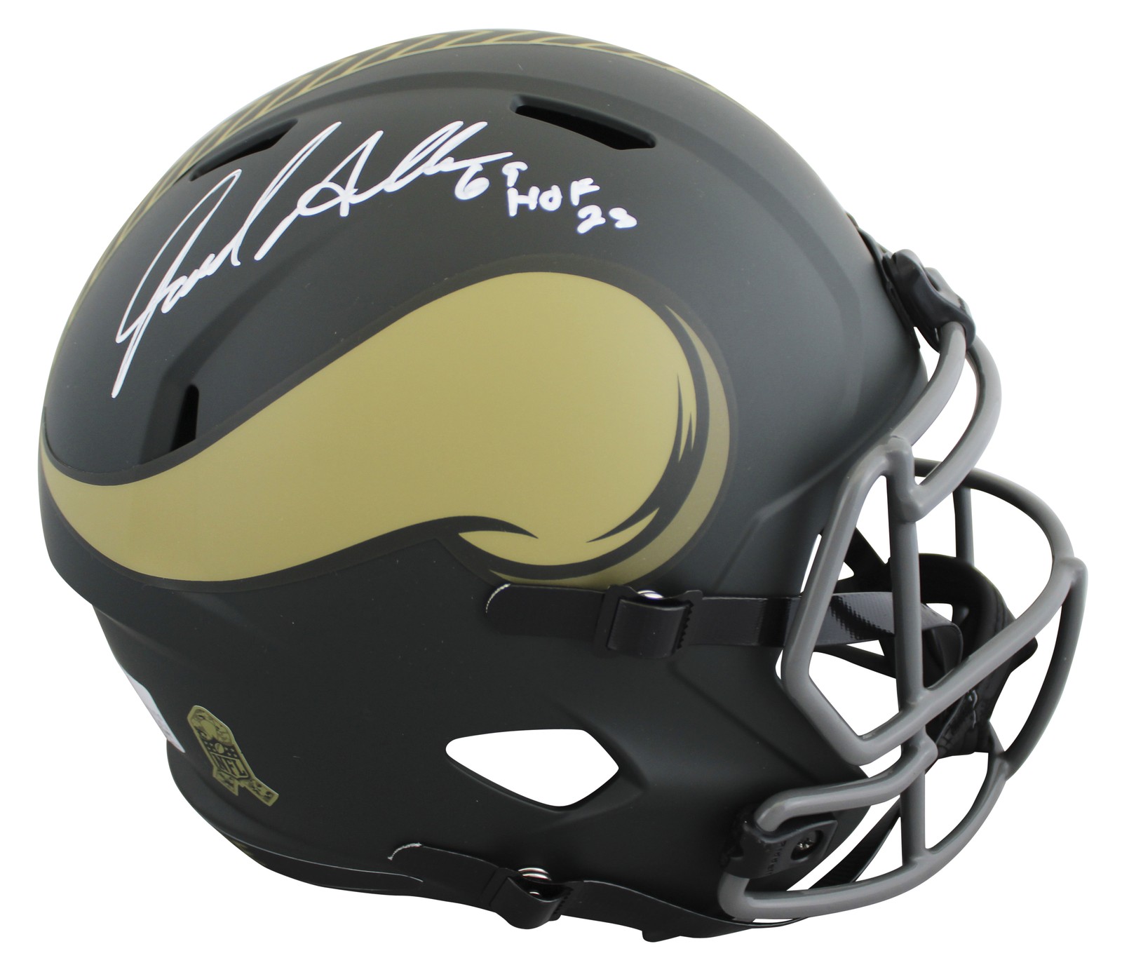 Vikings Jared Allen 