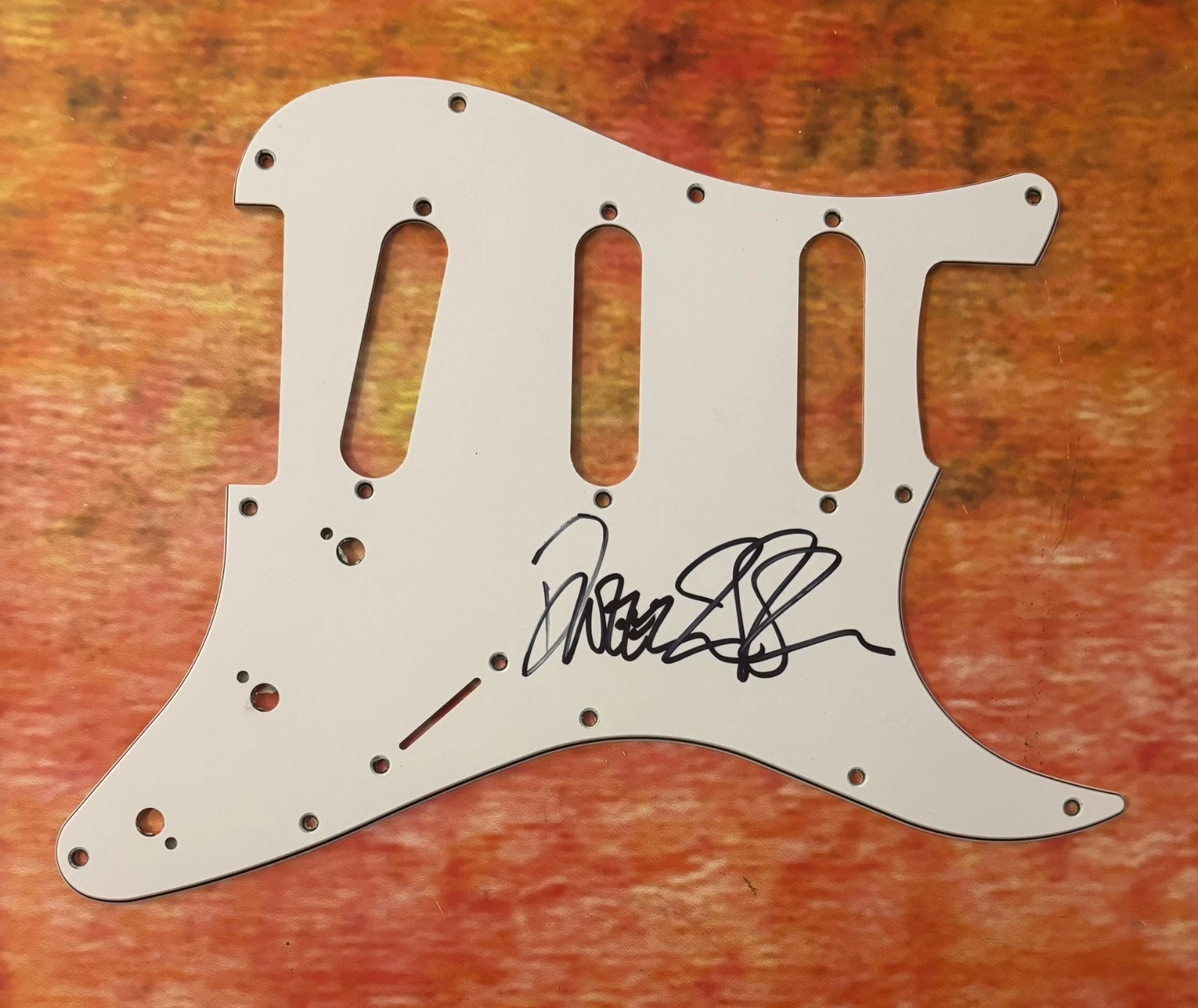 GFA Zappa's Son & Guitarist  * DWEEZIL ZAPPA *  Signed Electric Pickguard COA