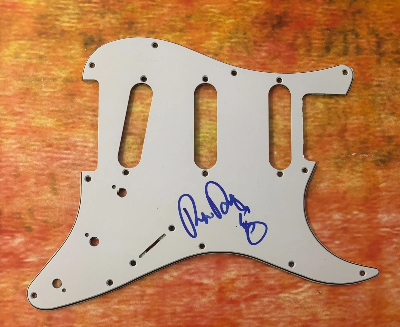 GFA Blues Guitarist  * ERIC RAW DAWG GALES * Signed Electric Pickguard PROOF COA