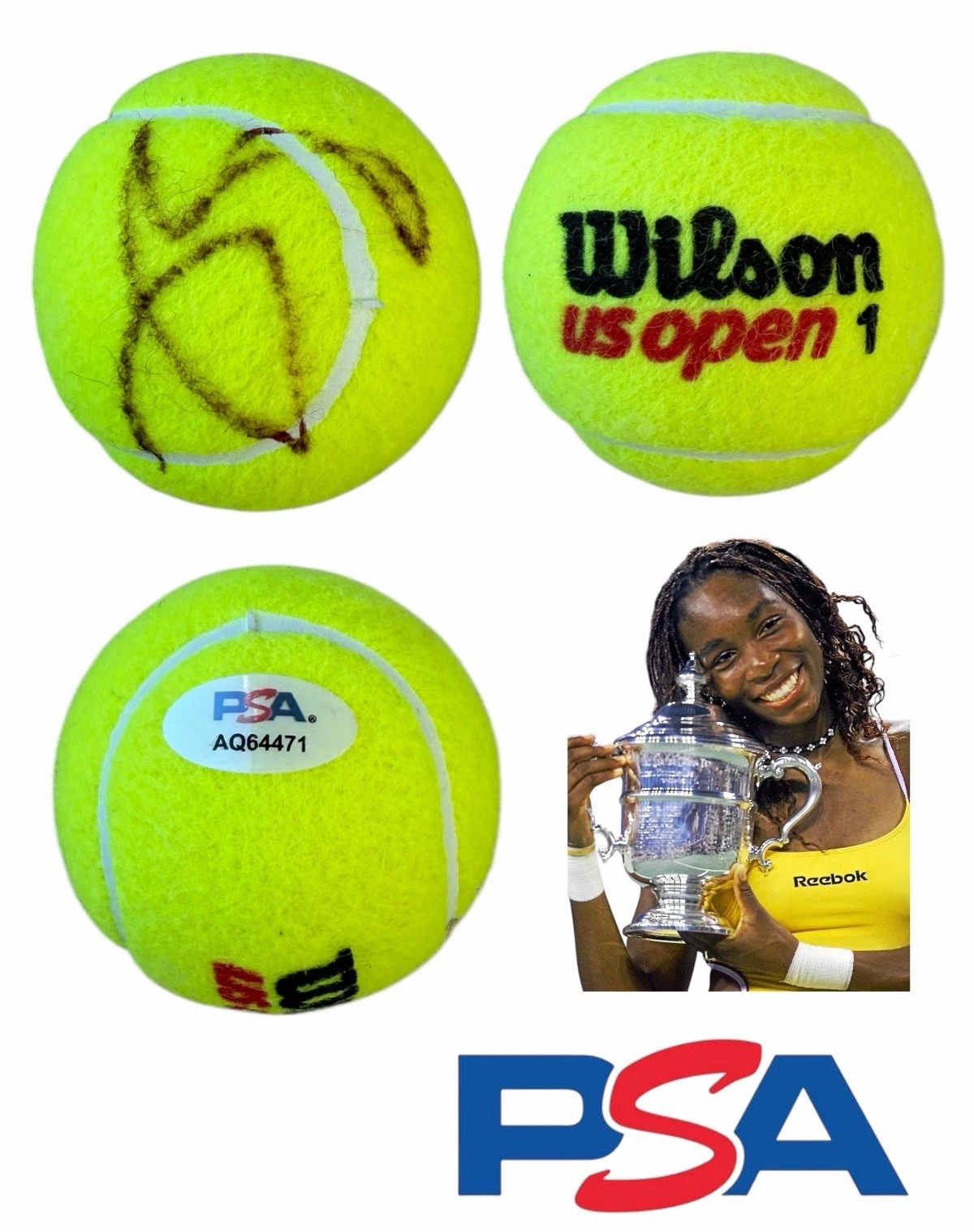 Venus Williams Signed Wilson US Open Tennis Ball PSA/DNA AUTO 2000 Champion WTA