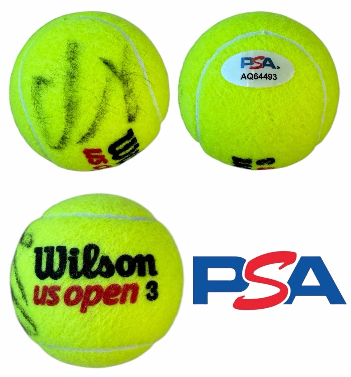 Iva Jovic Signed Official Wilson US OPEN Tennis Ball PSA/DNA AUTO WTA TOUR