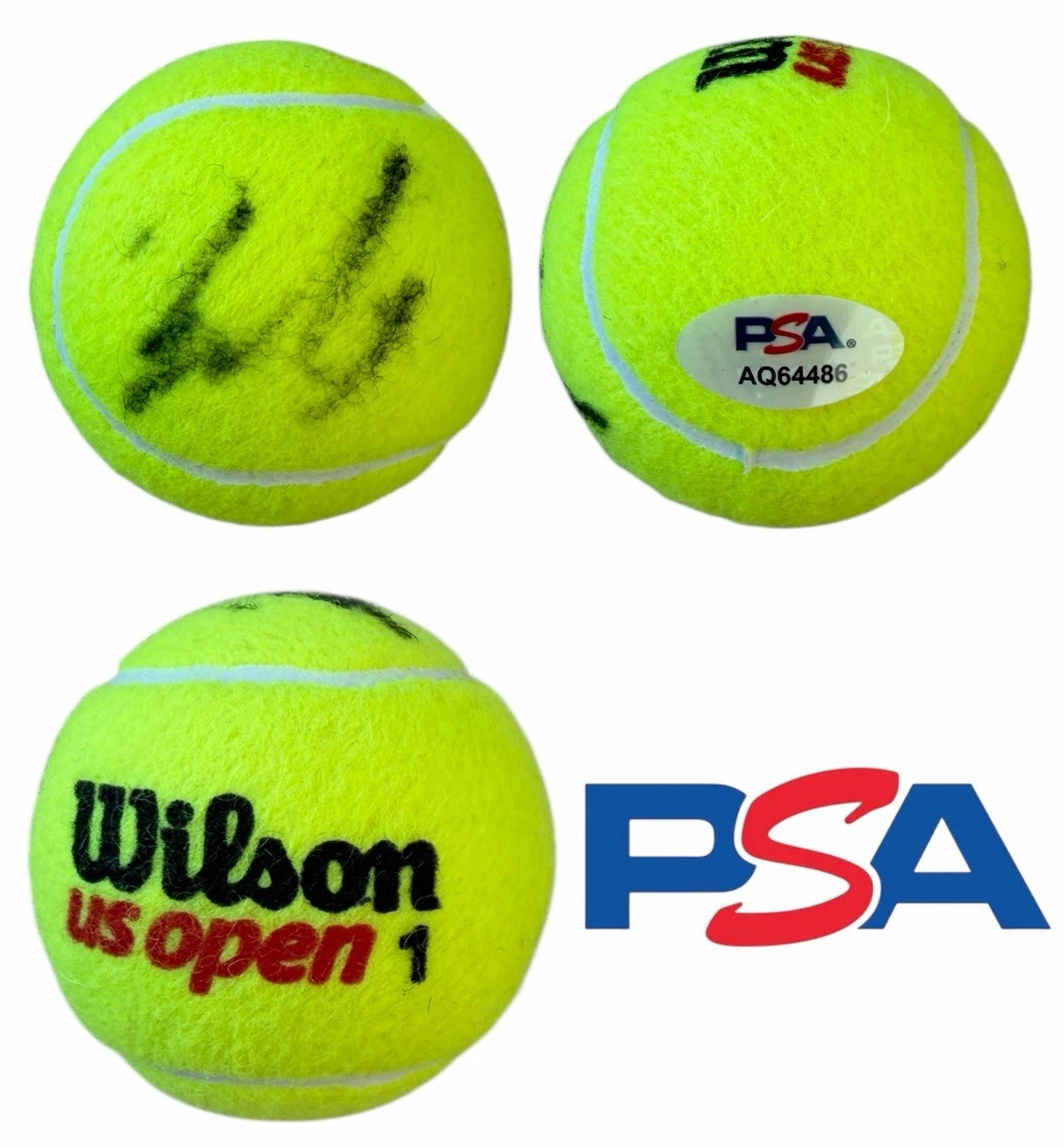Ben Shelton Signed Official Wilson US OPEN Tennis Ball PSA/DNA AUTO ATP TOUR
