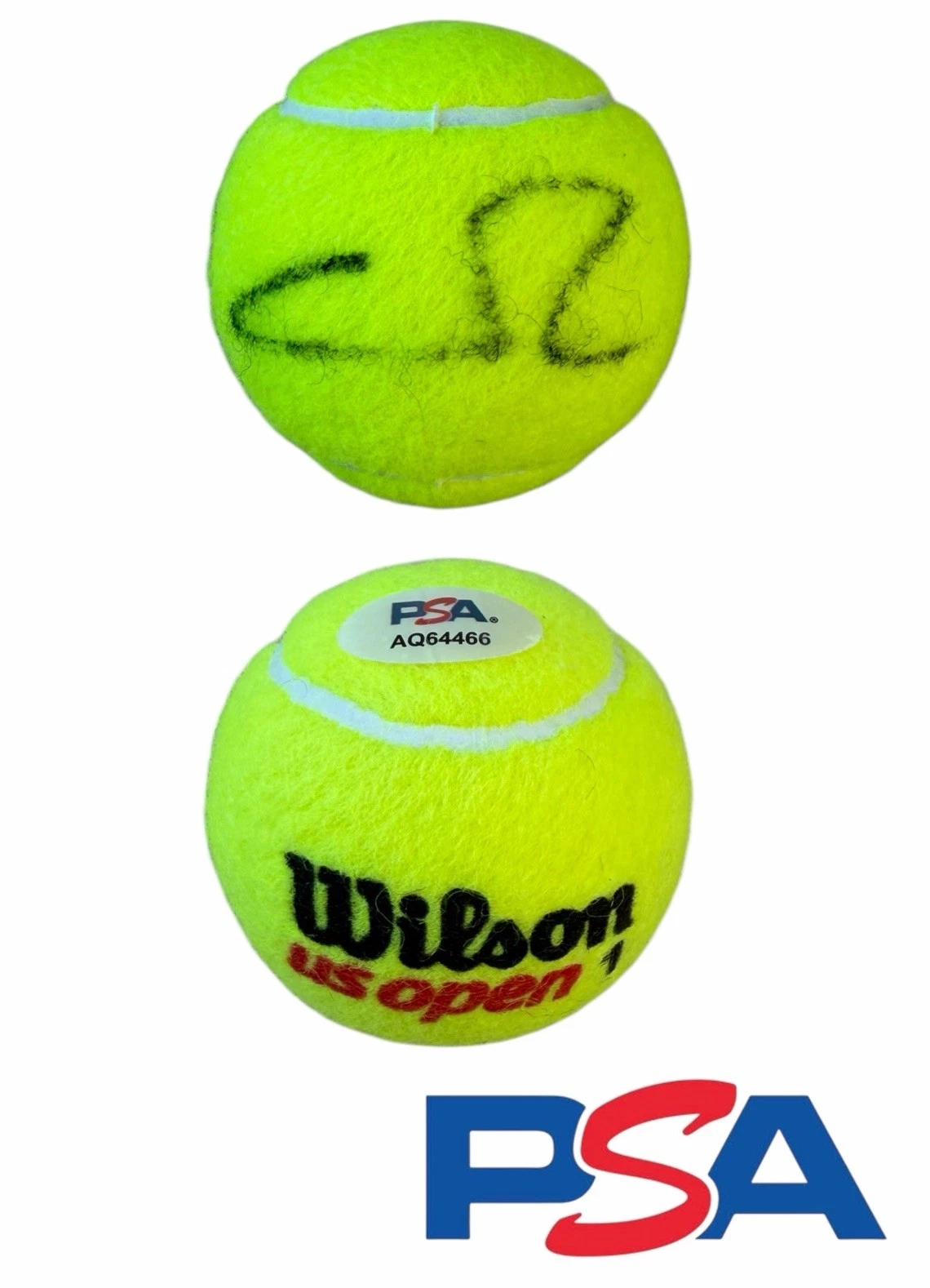 Casper Ruud Signed Official Wilson US OPEN Tennis Ball PSA/DNA AUTO ATP TOUR
