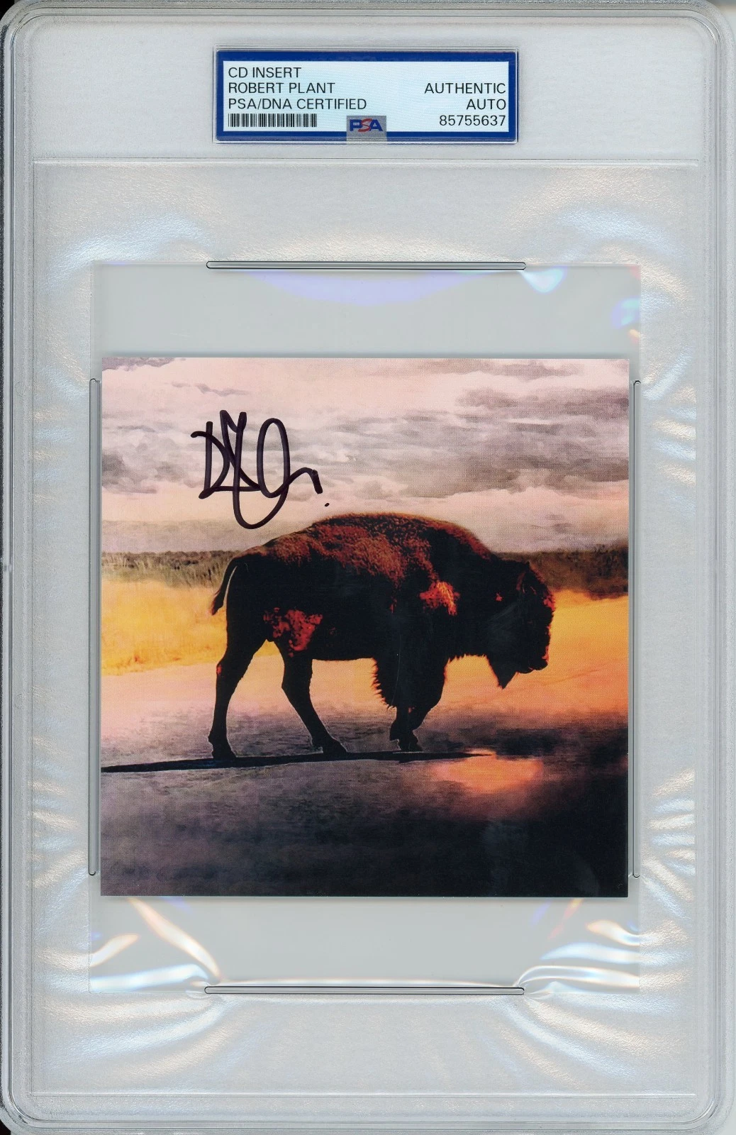 ROBERT PLANT LED ZEPPELIN SIGNED CD COVER ALBUM ART CARD PSA DNA COA AUTOGRAPH