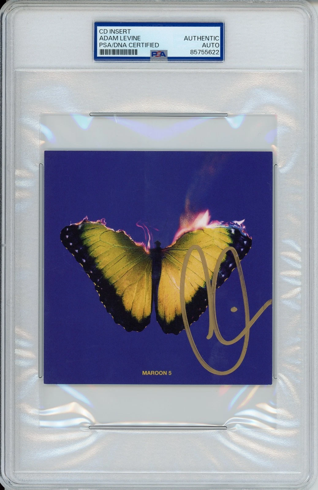 SIGNED ADAM LEVINE Maroon 5 Autograph Photograph Album Art Card PSA DNA COA