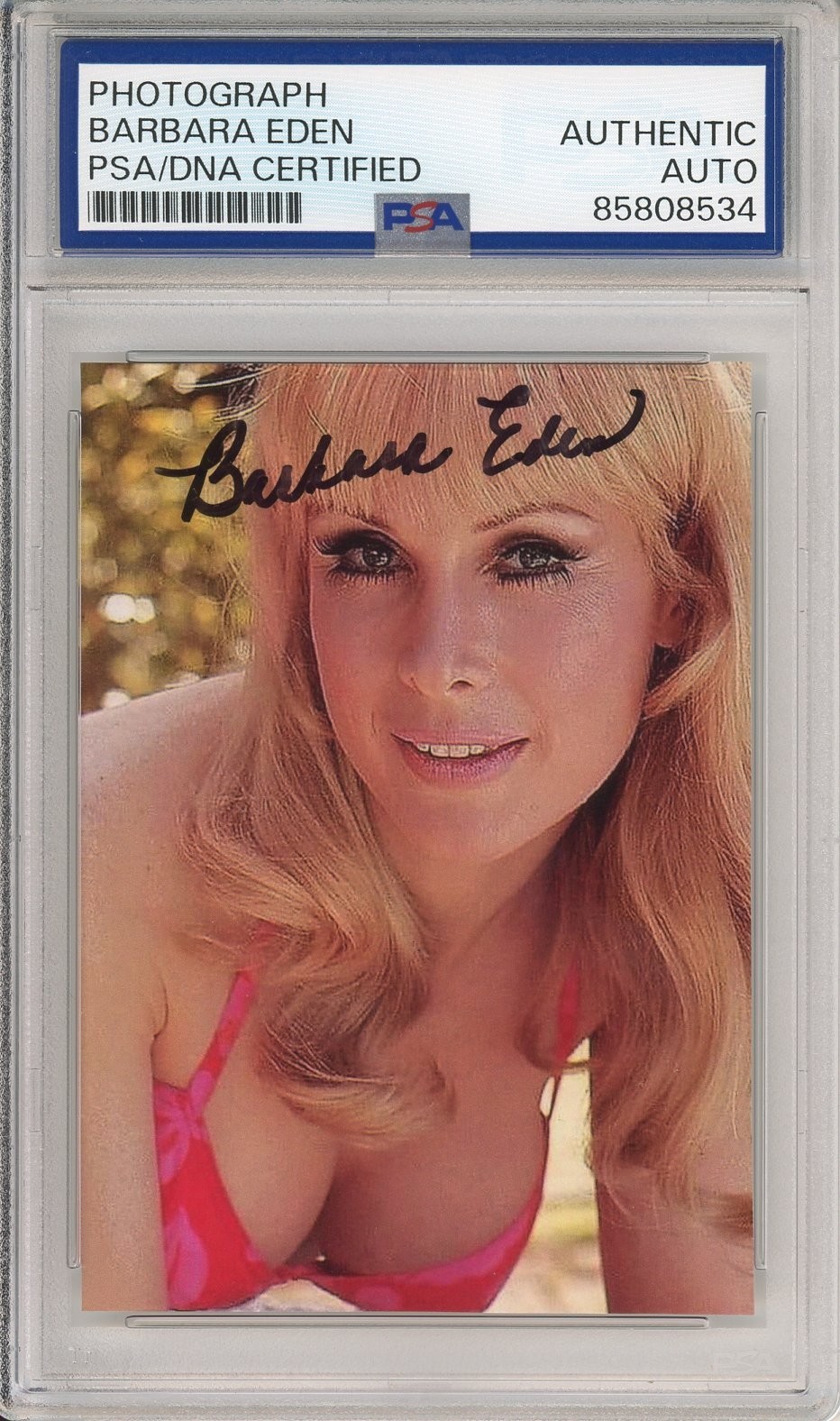 Barbara Eden SIGNED Bikini I Dream Of Jeannie Photograph AUTOGRAPH PSA DNA COA