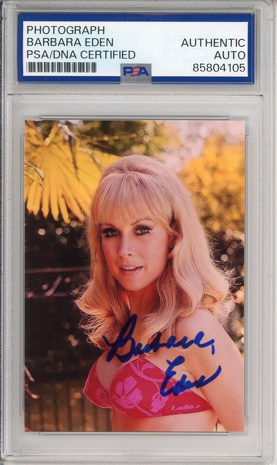Barbara Eden SIGNED SEXY Bikini Picture I Dream Of Jeannie AUTOGRAPH PSA DNA COA