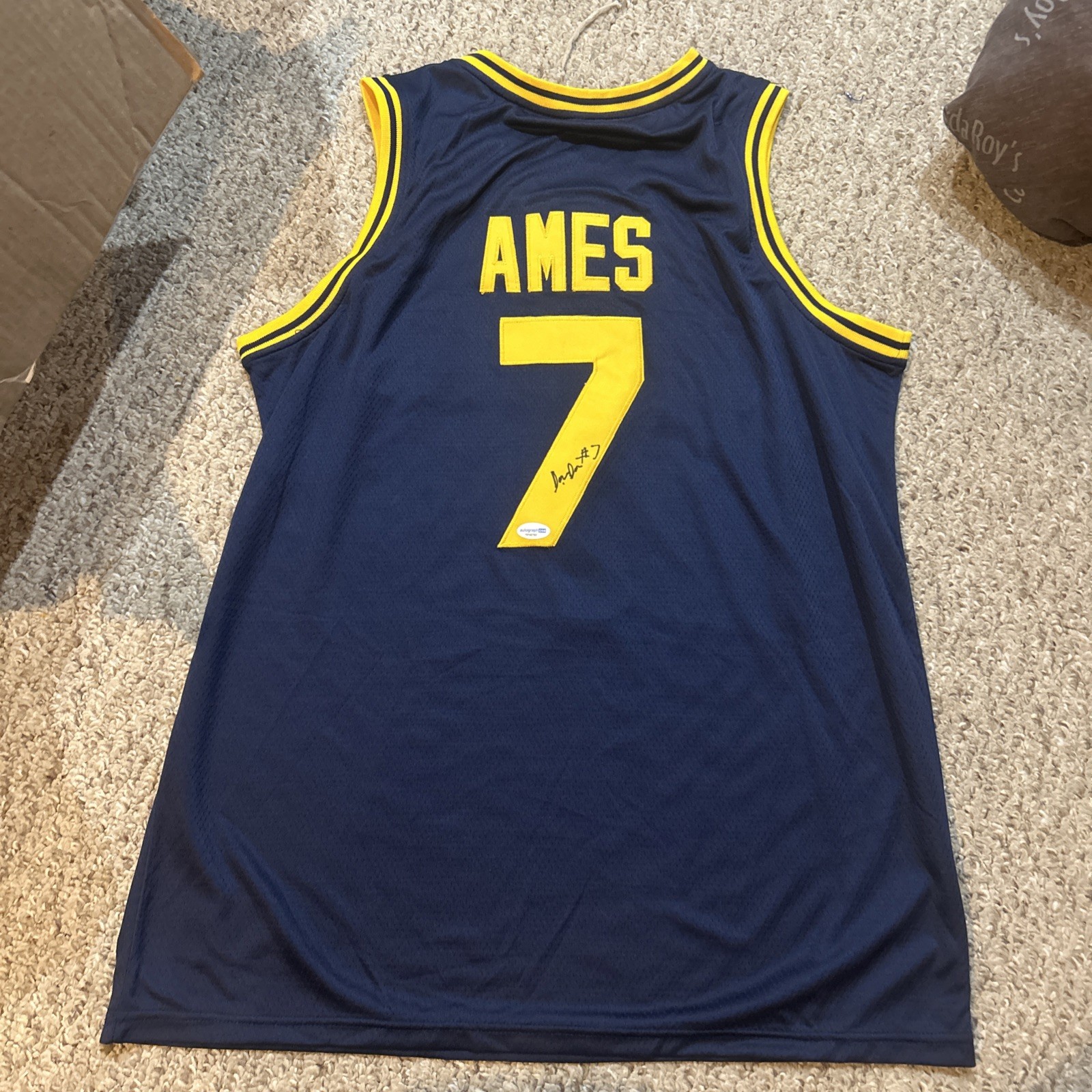 CALIFORNIA GOLDEN BEARS- DAI DAI AMES SIGNED AUTOGRAPH JERSEY ACOA BASKETBALL