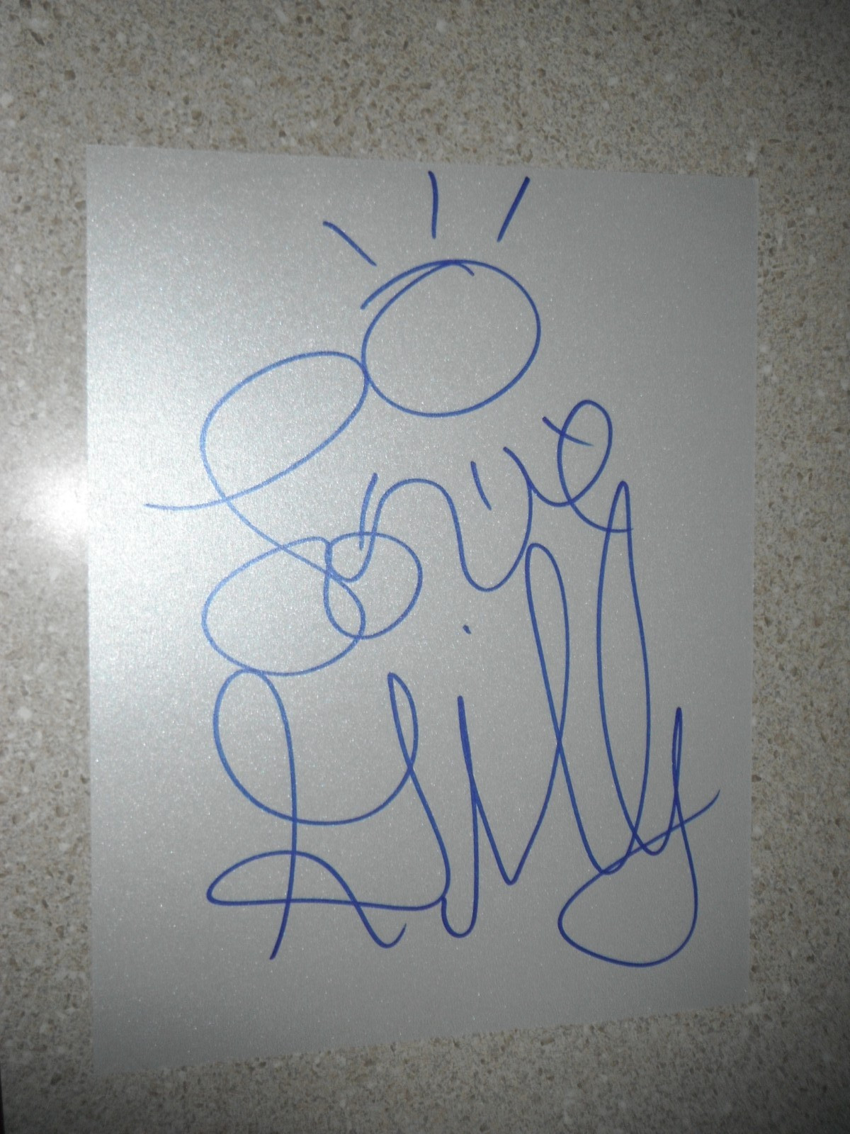 BUTTHOLE SURFERS GIBBY HAYNES SIGNED SUN LOVE GIBBY SKETCH