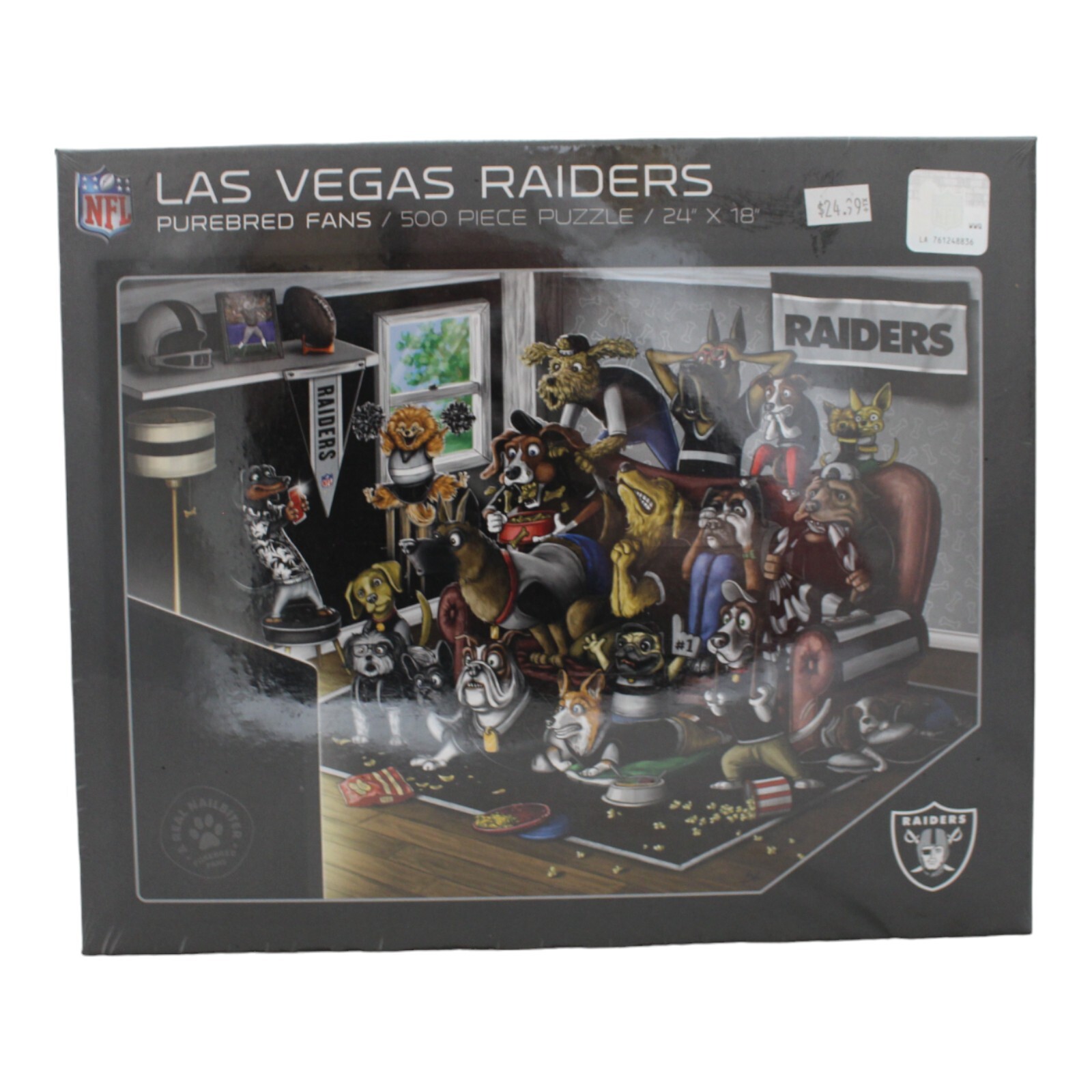Las Vegas Raiders 18