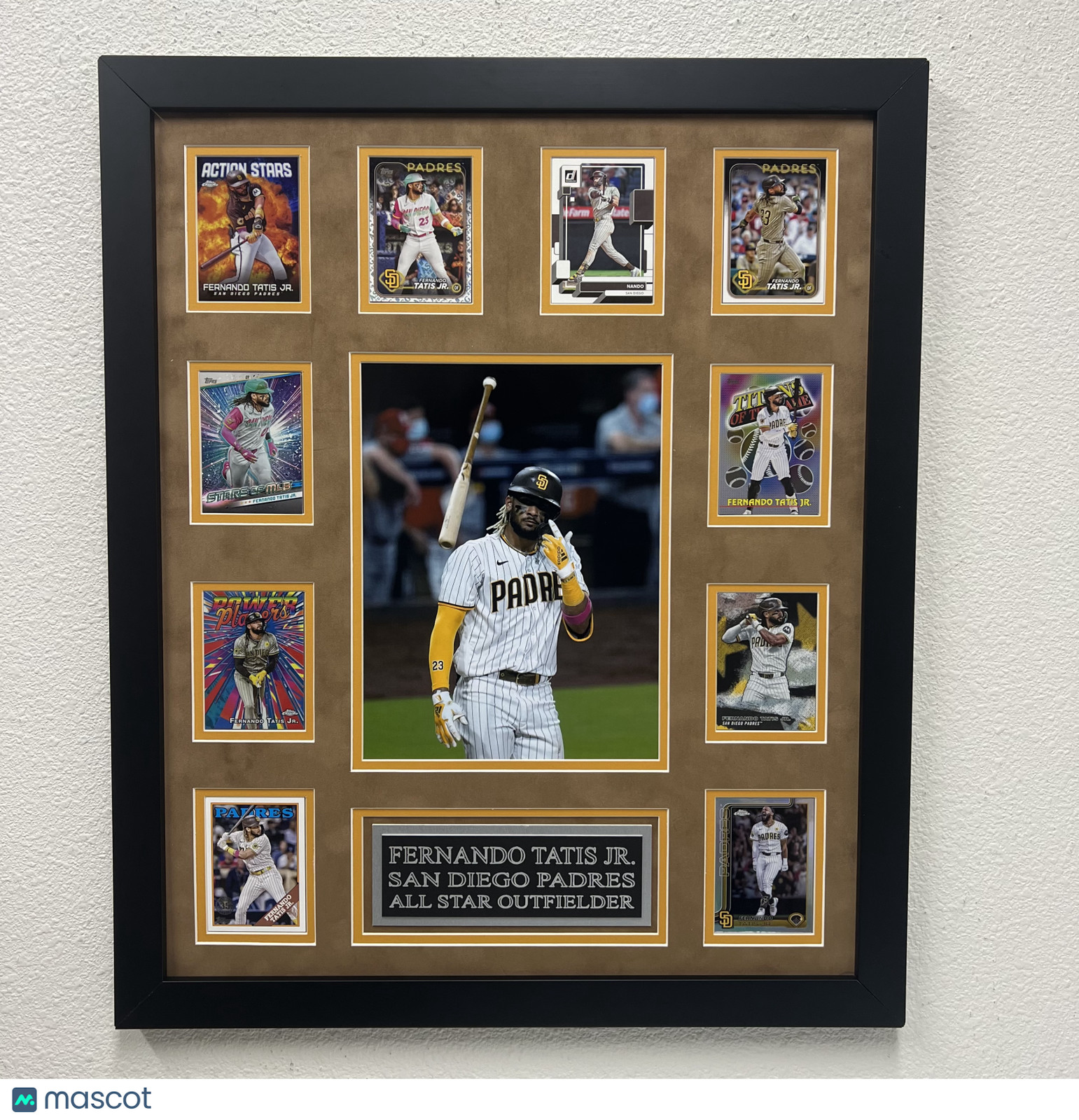 Fernando Tatís Jr 10-Card Custom Display Frame San Diego Padres