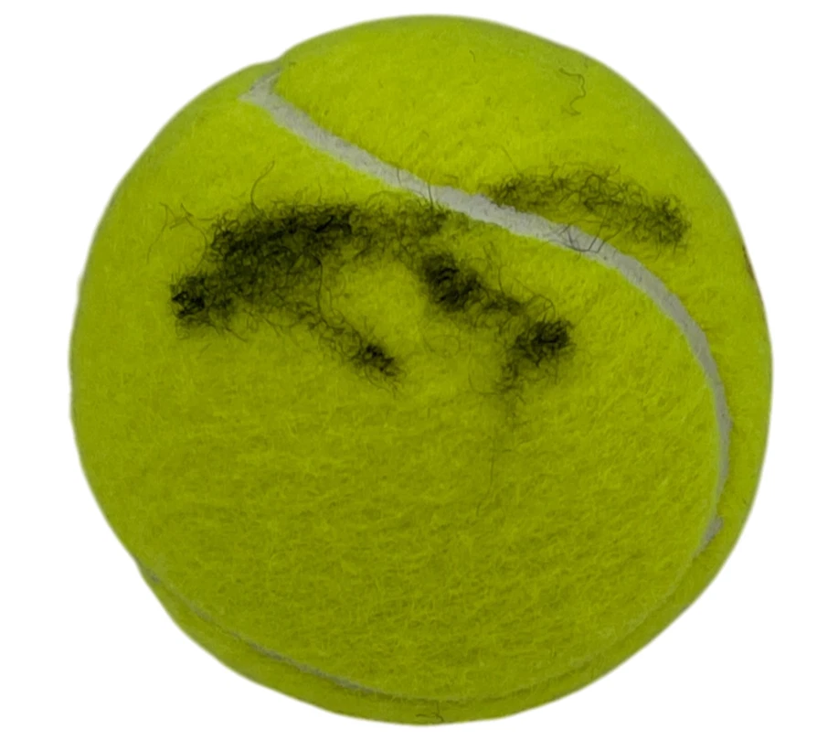 Joao Fonseca Signed Wilson US Open 3 Tennis Ball Authentic Autograph JSA COA