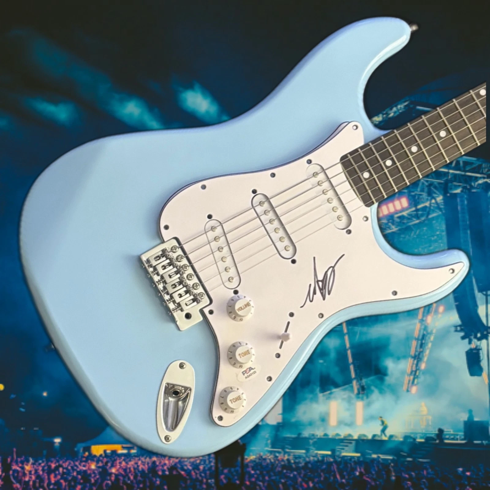 PSA  Blink-182 Band Bassist  * MARK HOPPUS *  Signed Electric Guitar  COA