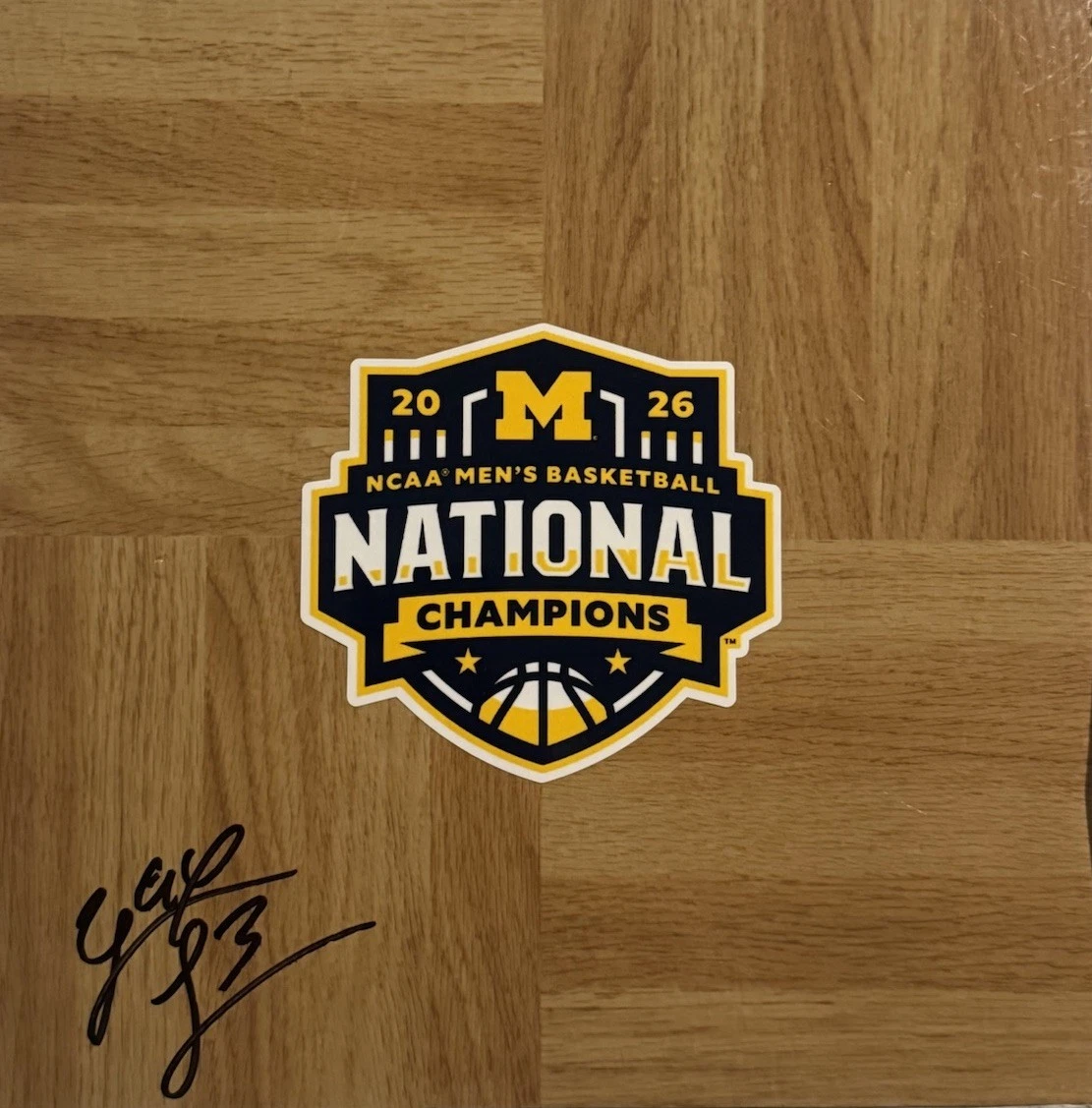 YAXEL LENDEBORG SIGNED FLOORBOARD MICHIGAN WOLVERINES BASKETBALL STAR COA