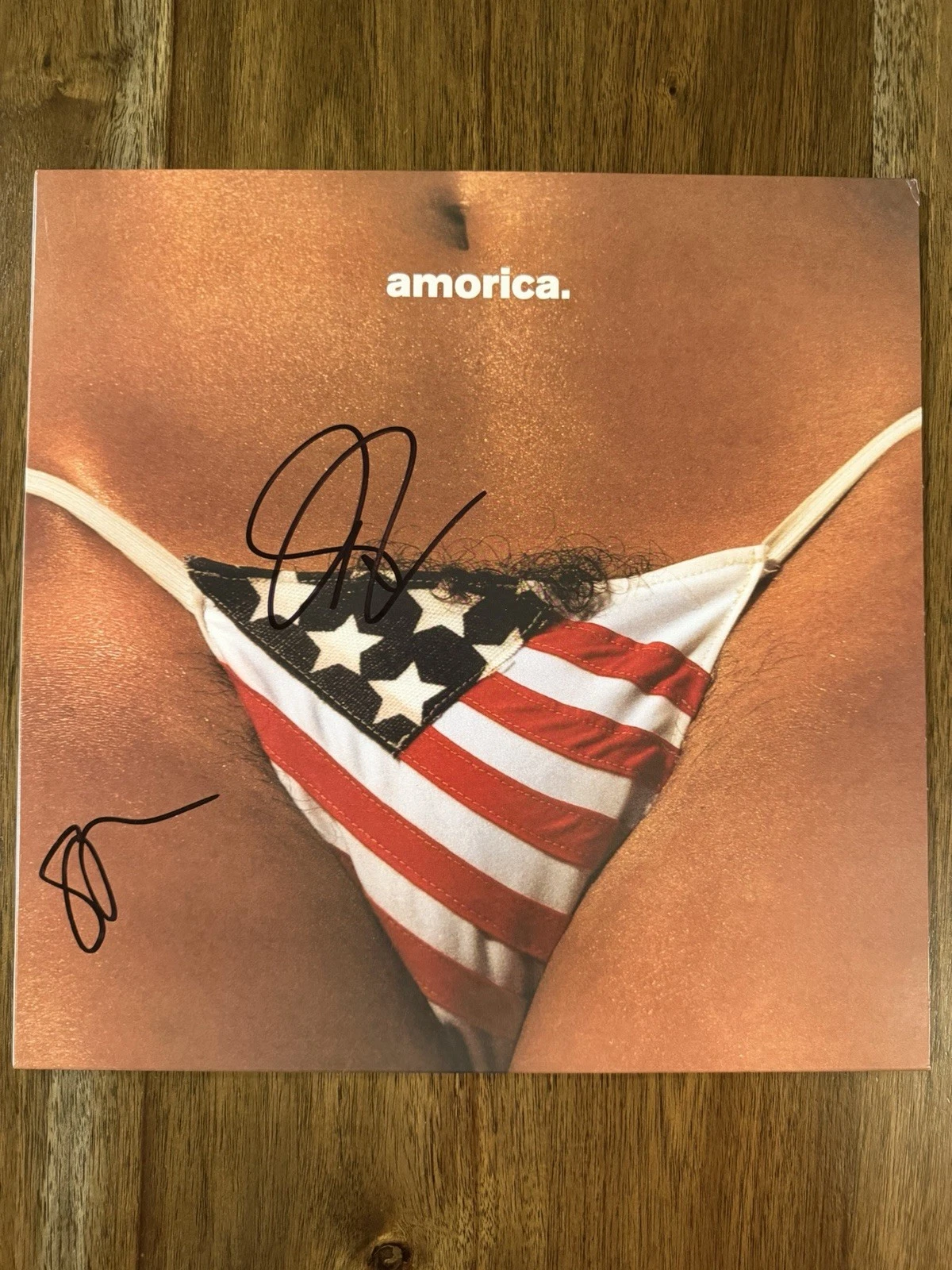 ‘The Black Crowes’ Signed Vinyl Album ‘Amorica’ Rich & Steve Beckett