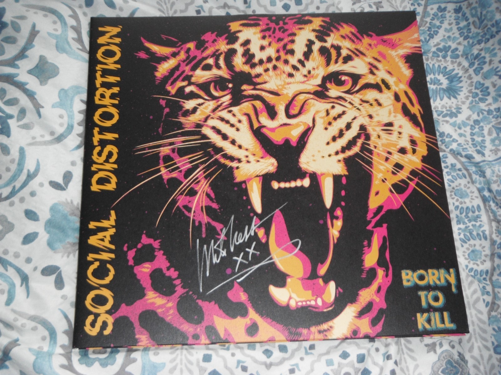 SOCIAL DISTORTION MIKE NESS SIGNED BORN TO KILL ALBUM