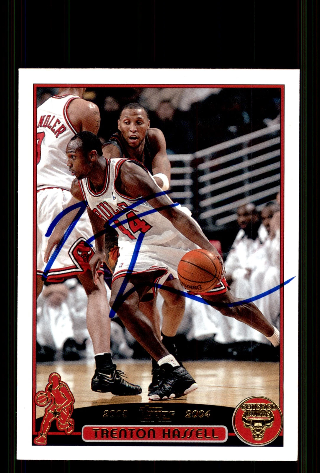 Signed Basketball Card Auto Trenton Hassell 2003-04 Topps #97 Chicago Bulls