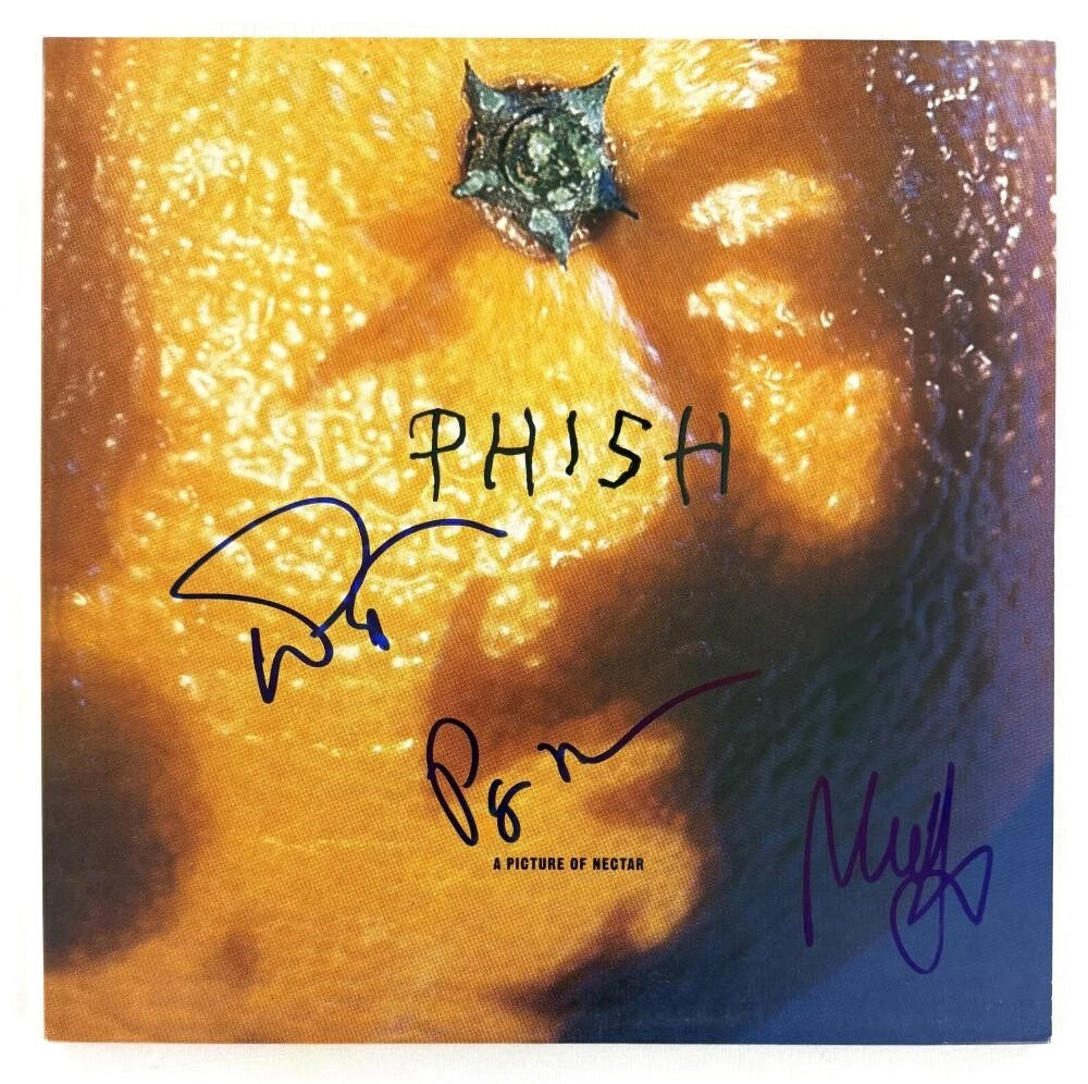 Trey Anastasio Page McConnell & MikeG Signed Autograph Phish Album Vinyl Record