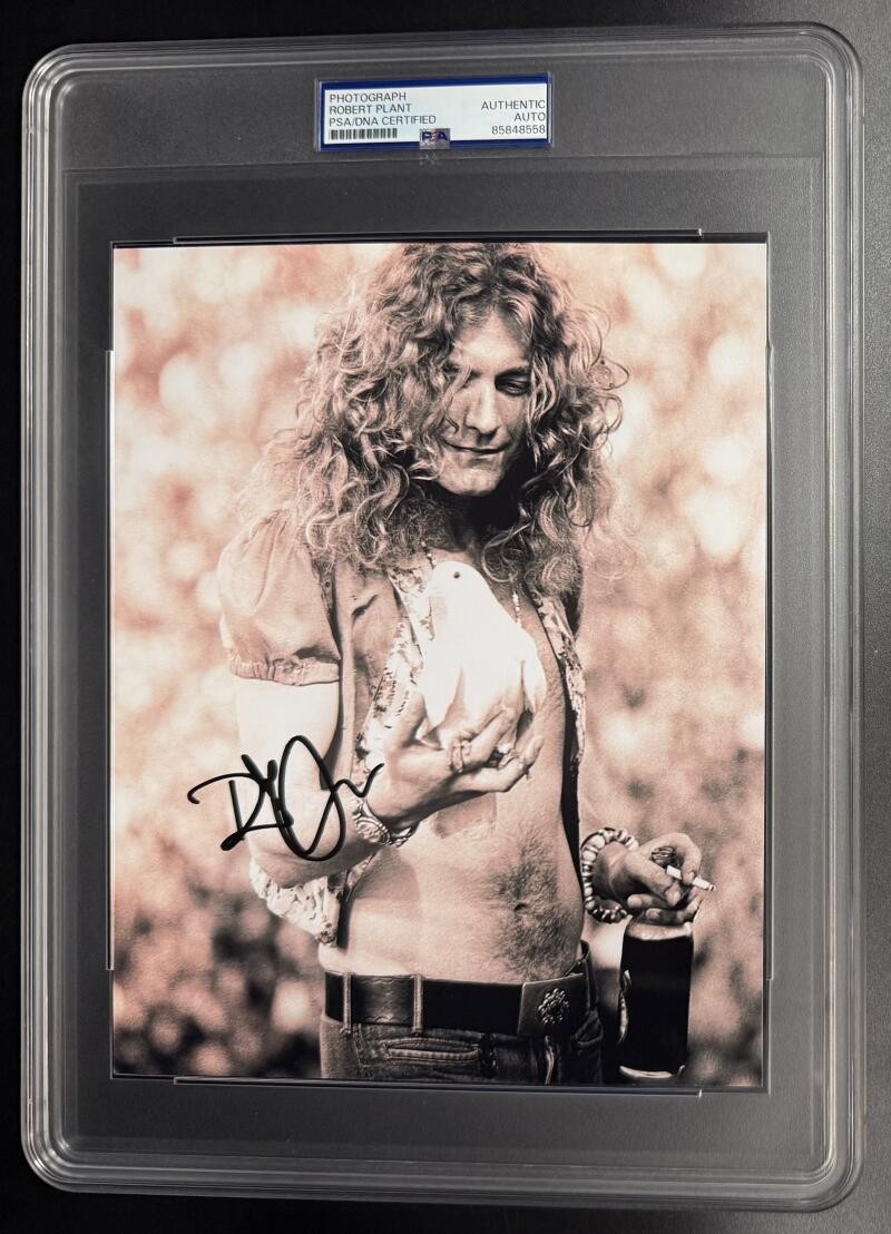 Robert Plant Signed Autograph Led Zeppelin Rare PSA/DNA COA 8x10 Slabbed Photo