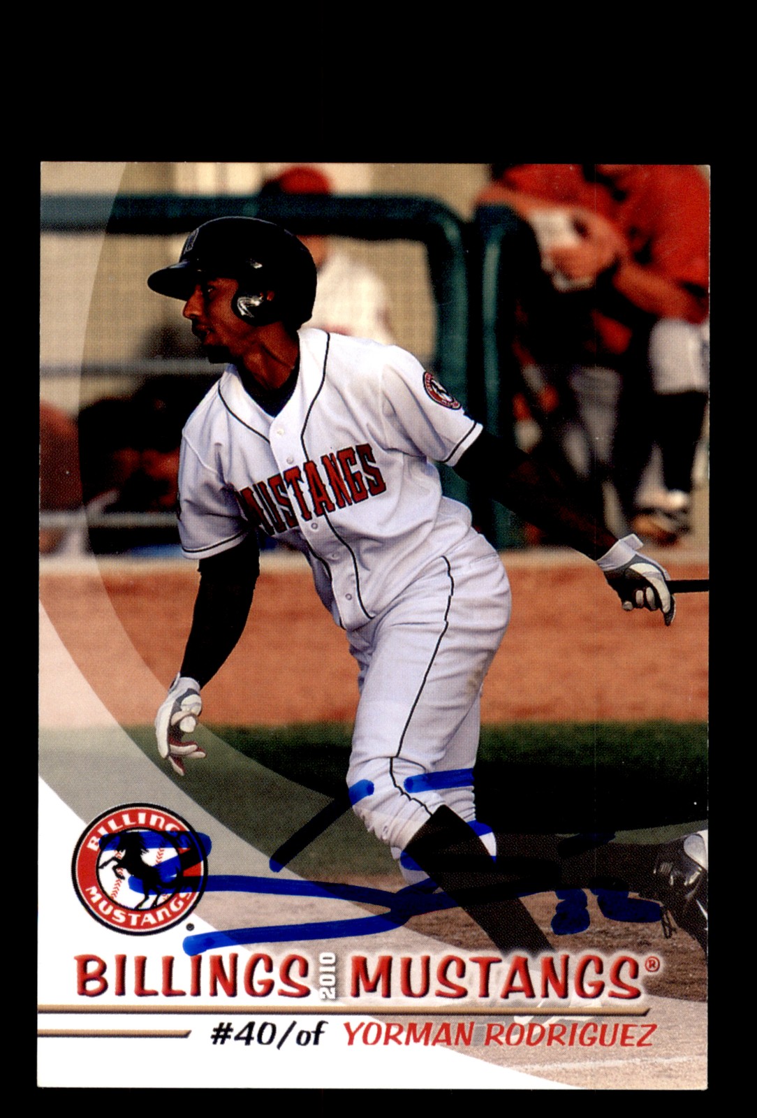 Signed Baseball Card Auto Yorman Rodriguez 2010 Grandstand Billings Mustangs