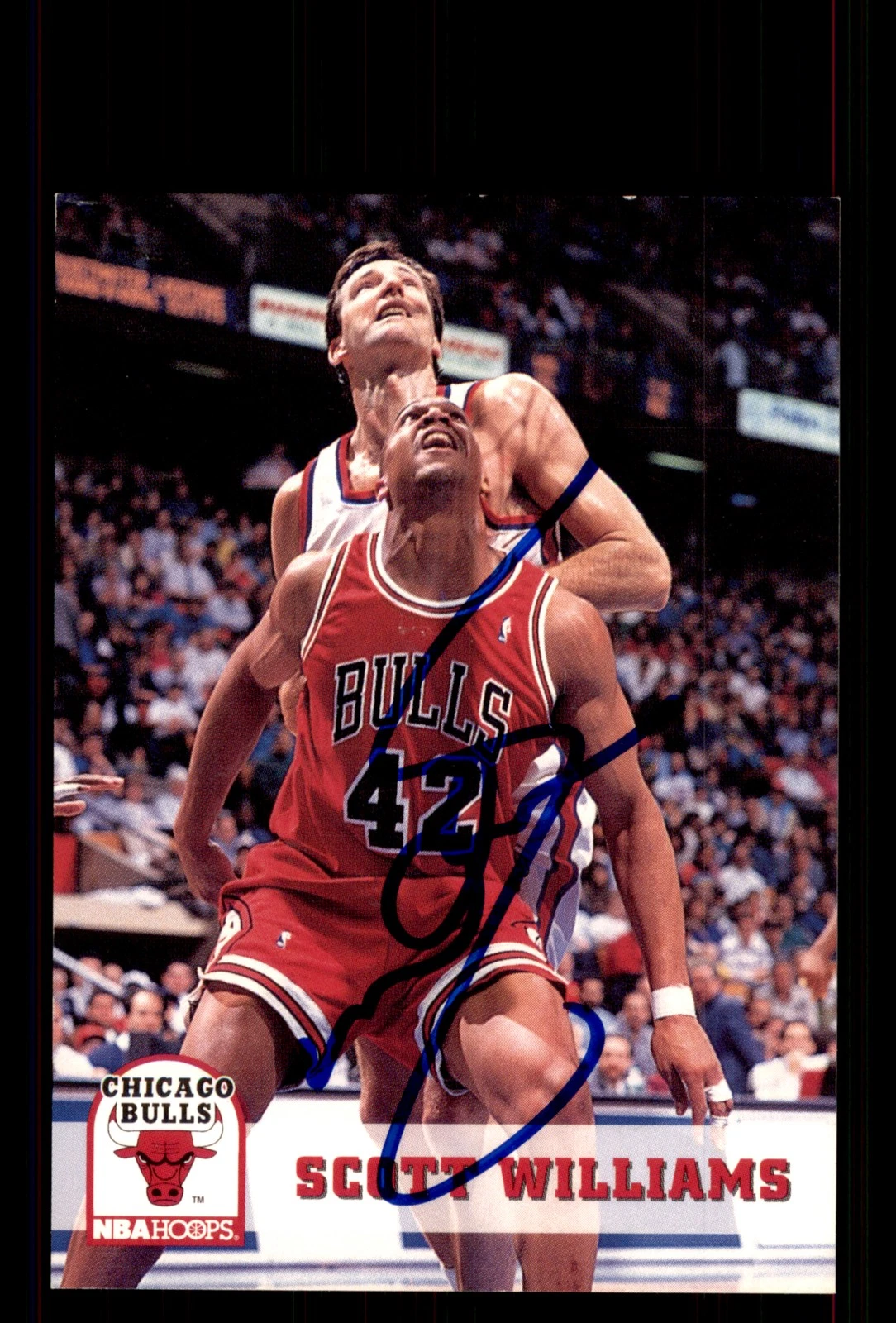 Signed Basketball Card Auto Scott Williams 1993-94 Hoops #33 Chicago Bulls