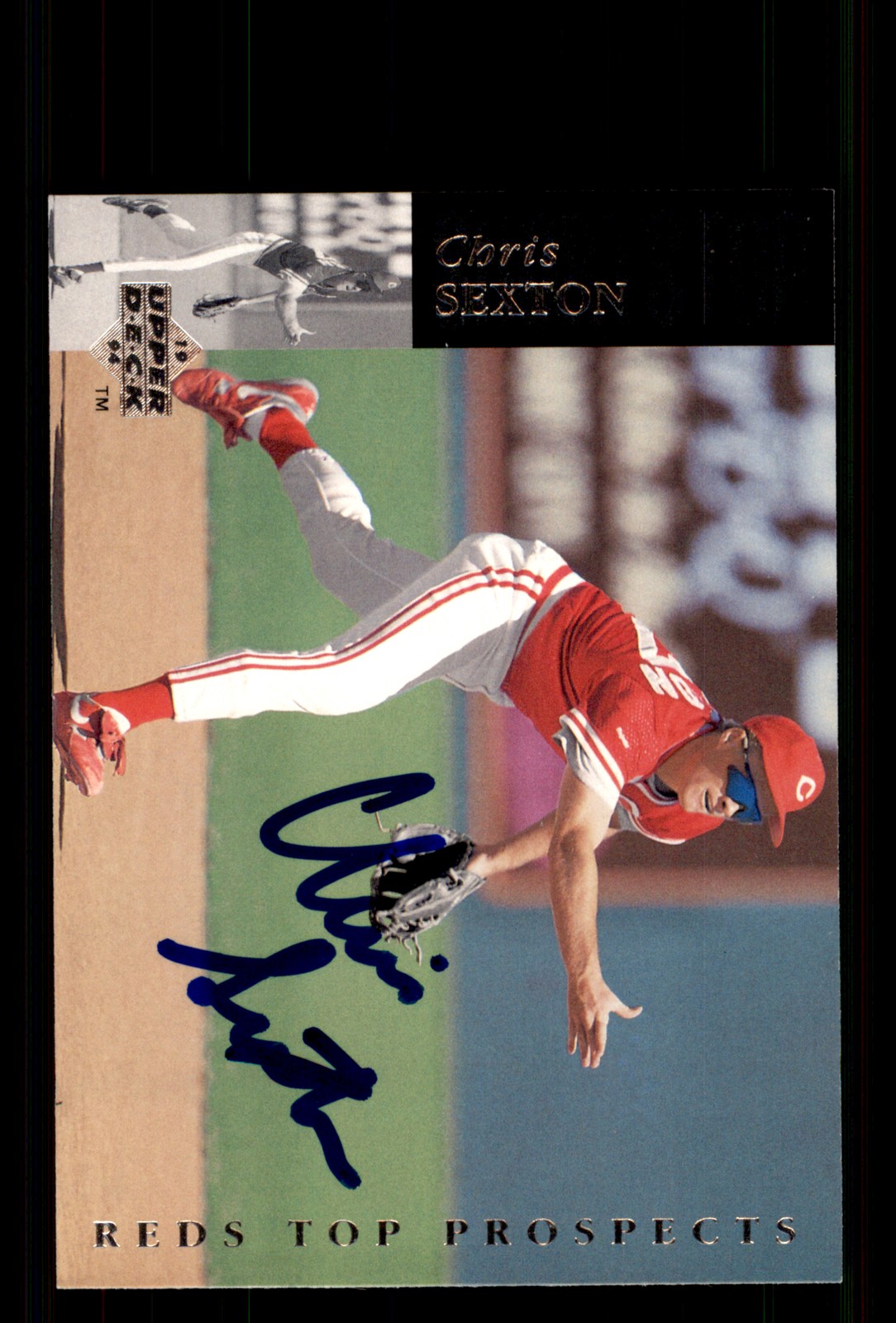 Signed Baseball Card Auto Chris Sexton 1994 Upper Deck Minor League #213