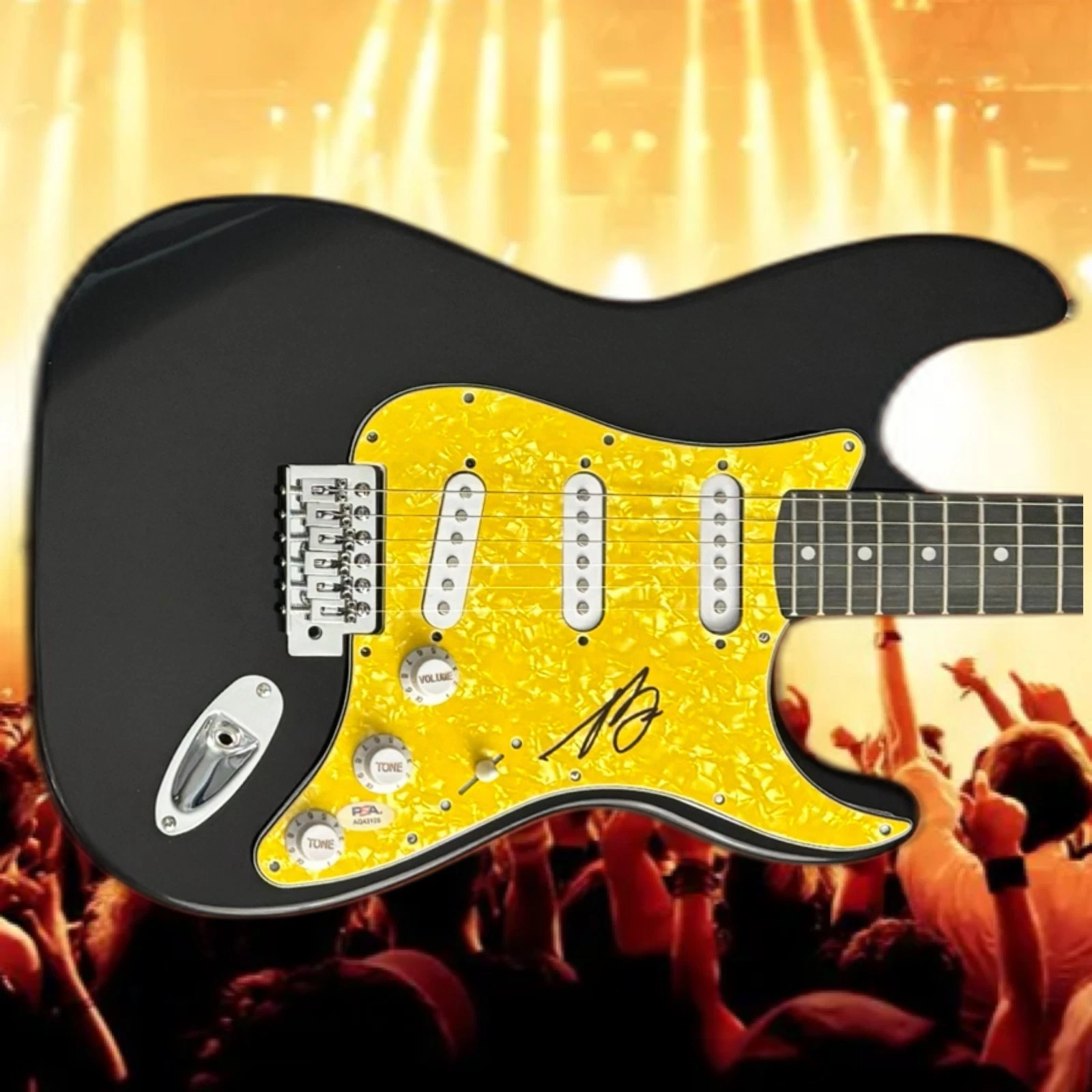 PSA  Blink-182 Band Bassist  * MARK HOPPUS *  Signed Electric Guitar  COA