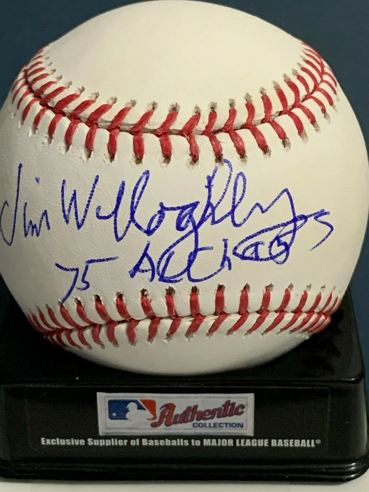 JIM WILLOUGHBY  BOSTON RED SOX  1975 AL CHAMPS  SIGNED OML BASEBALL