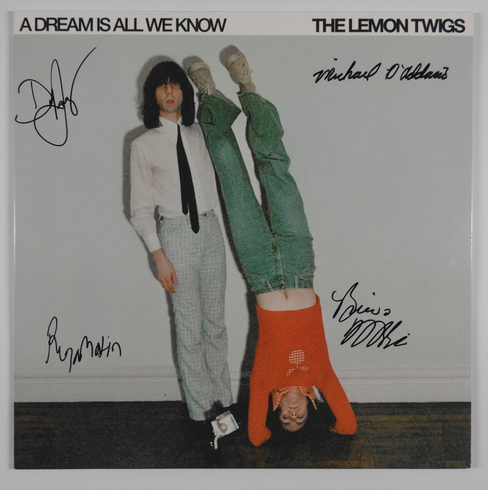 The Lemon Twigs JSA Signed Autograph Album Record Vinyl A Dream Is All We Know