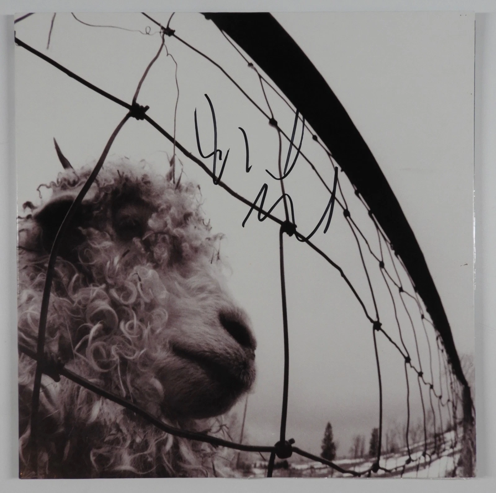 Pearl Jam Mike McCready Signed Autograph JSA Vinyl Record Album Vs.