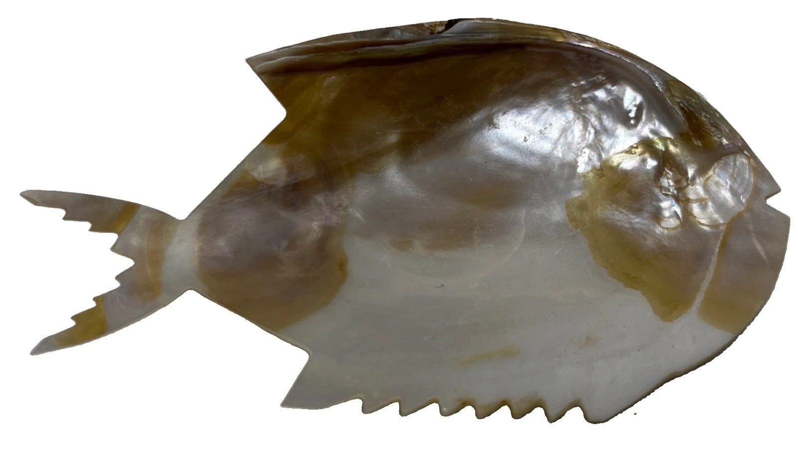 Carved Mother Of Pearl Shell Soap Dish Sea Shell Vintage Tiki 5” Fish