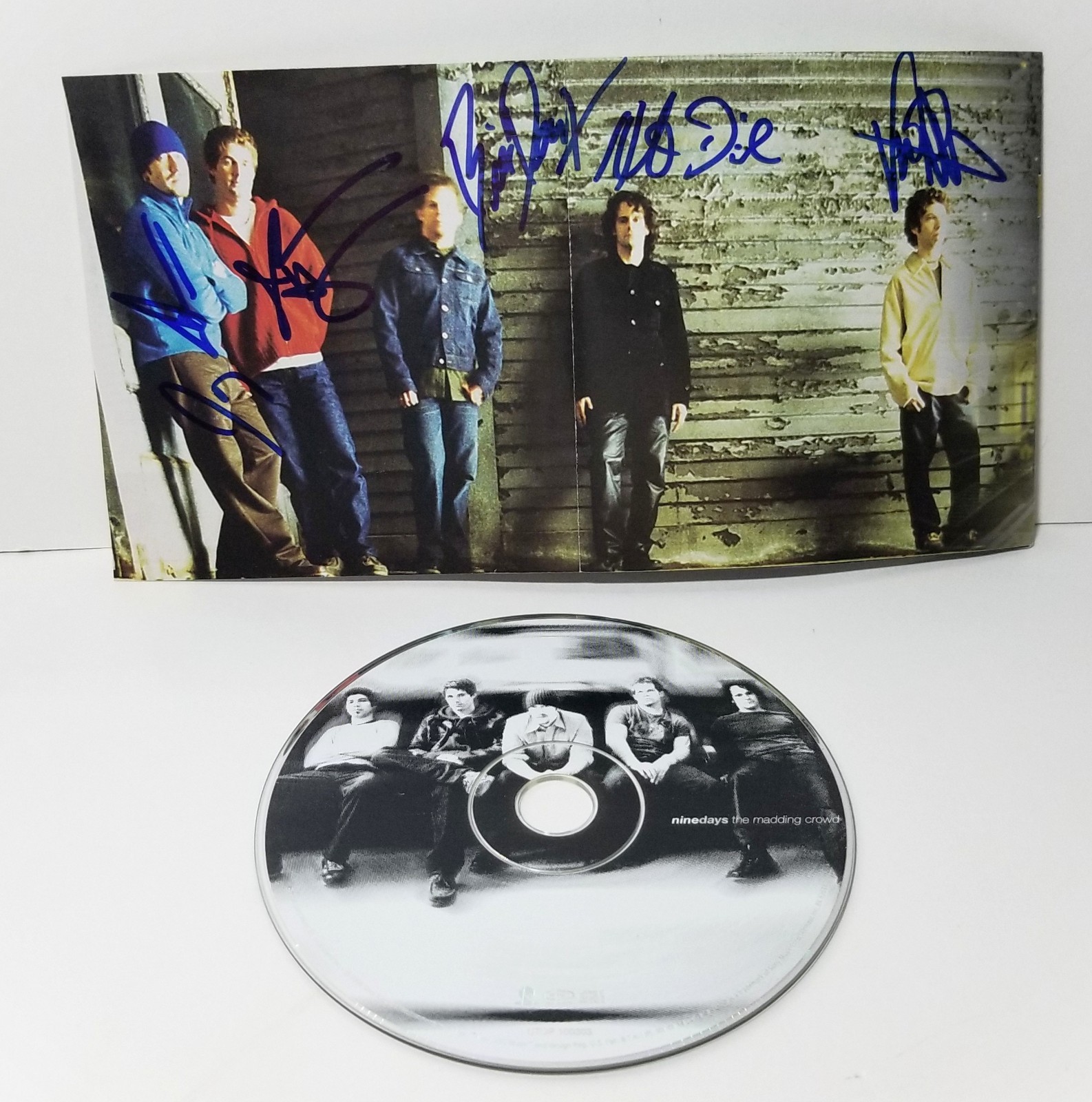 Nine Days full band REAL hand SIGNED The Madding Crowd CD COA Autographed all 5