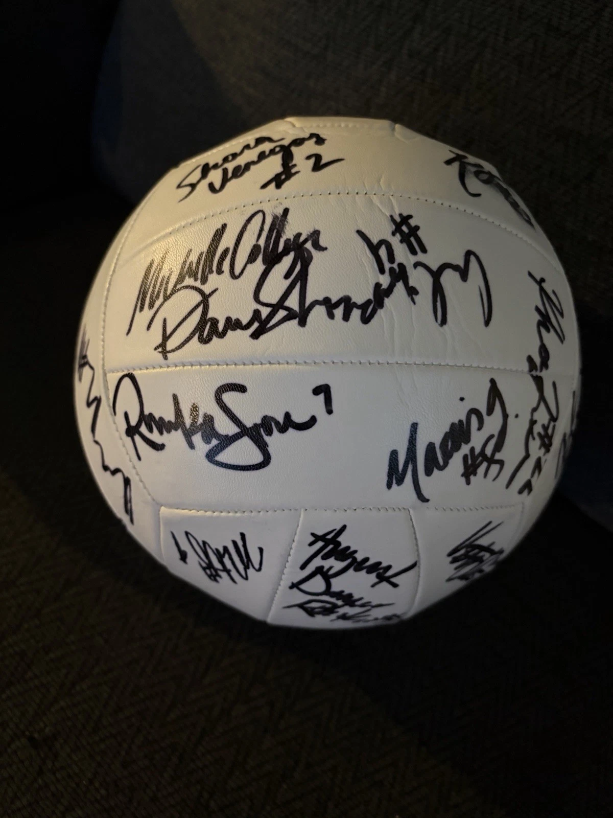 2025 Pro Volleyball Federation All Star Game Signed Ball Brooke Nuneviller + 17