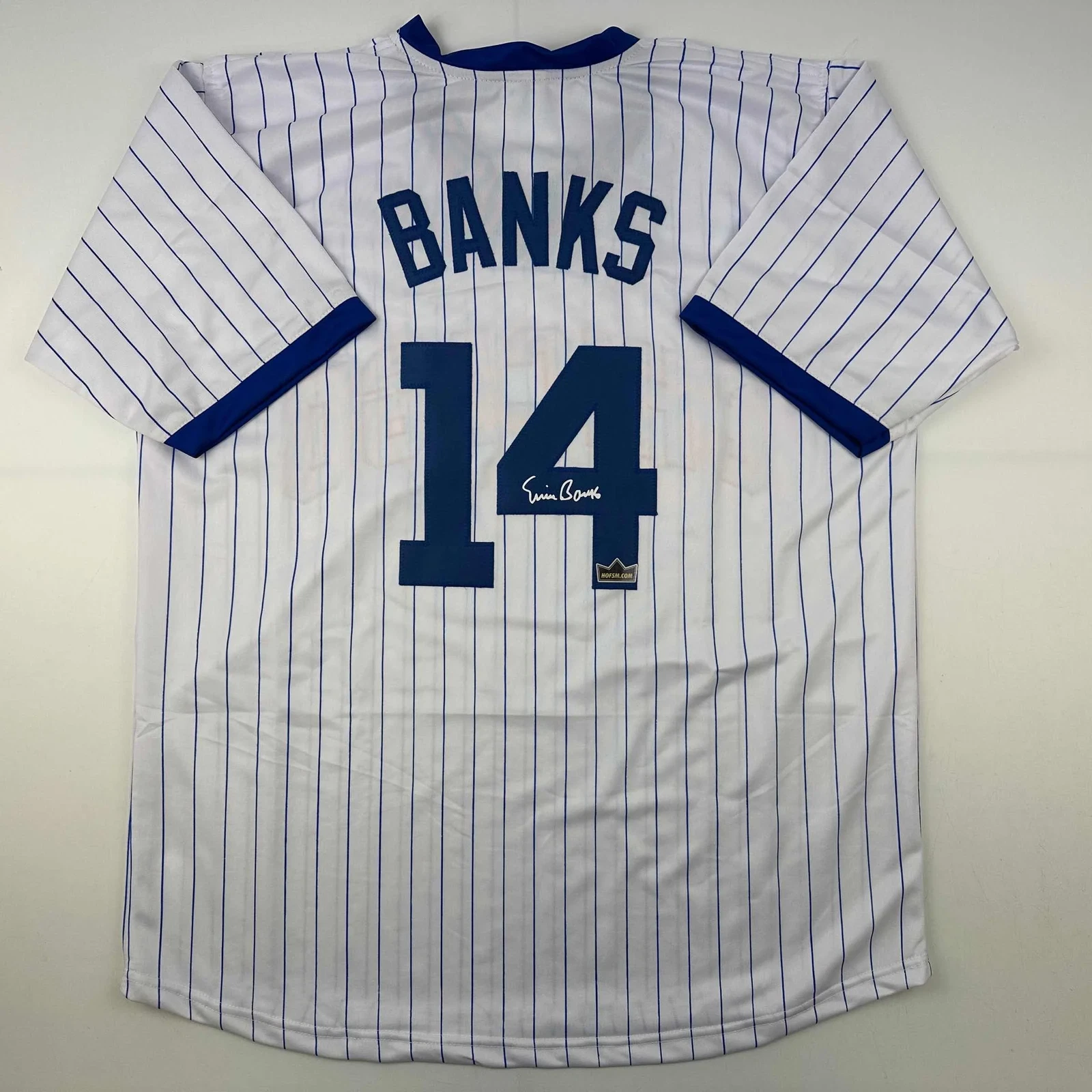 Facsimile Autographed Ernie Banks Chicago Pinstripe Reprint Auto Jersey Men's XL