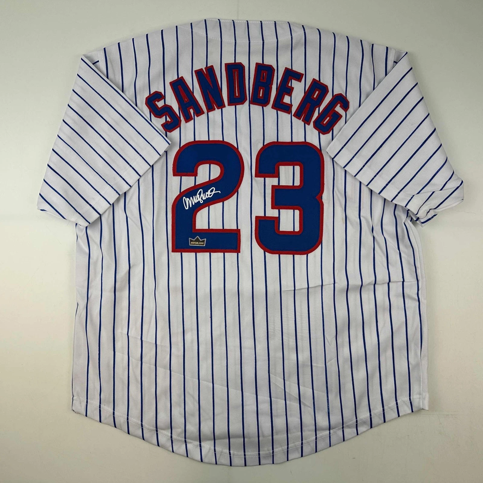 Facsimile Autographed Ryne Sandberg Chicago Pinstripe Reprint Jersey Size Men XL