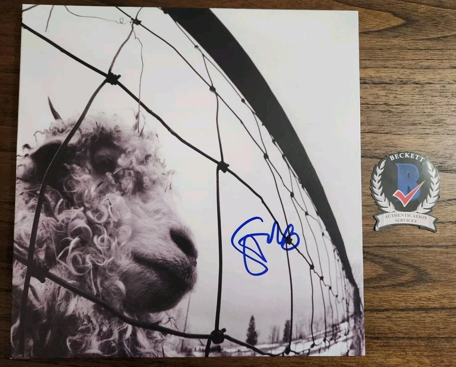 STONE GOSSARD SIGNED VS VINYL LP LEGENDARY GUITARIST BECKETT BAS COA
