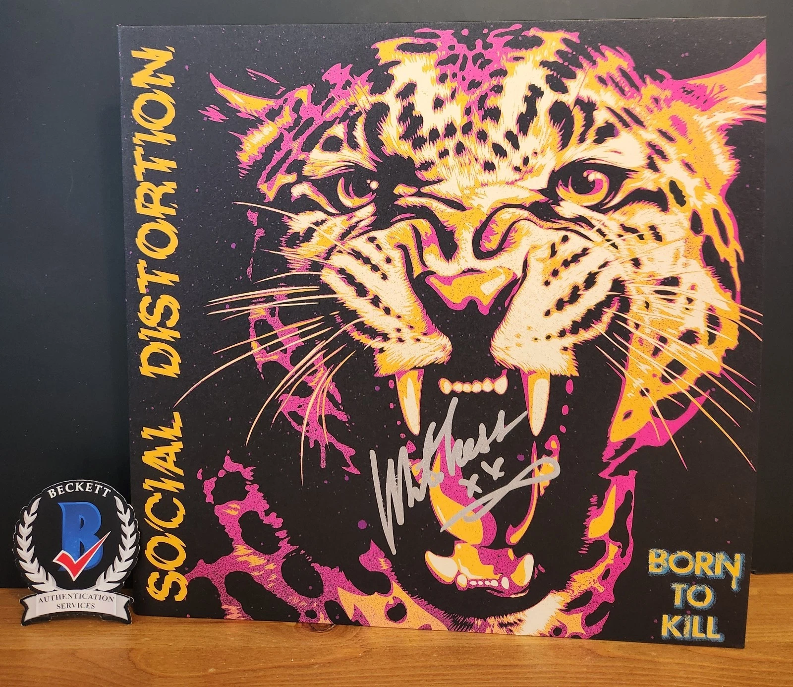 MIKE NESS SOCIAL DISTORTION SIGNED BORN TO KILL VINYL ALBUM RECORD BAS COA