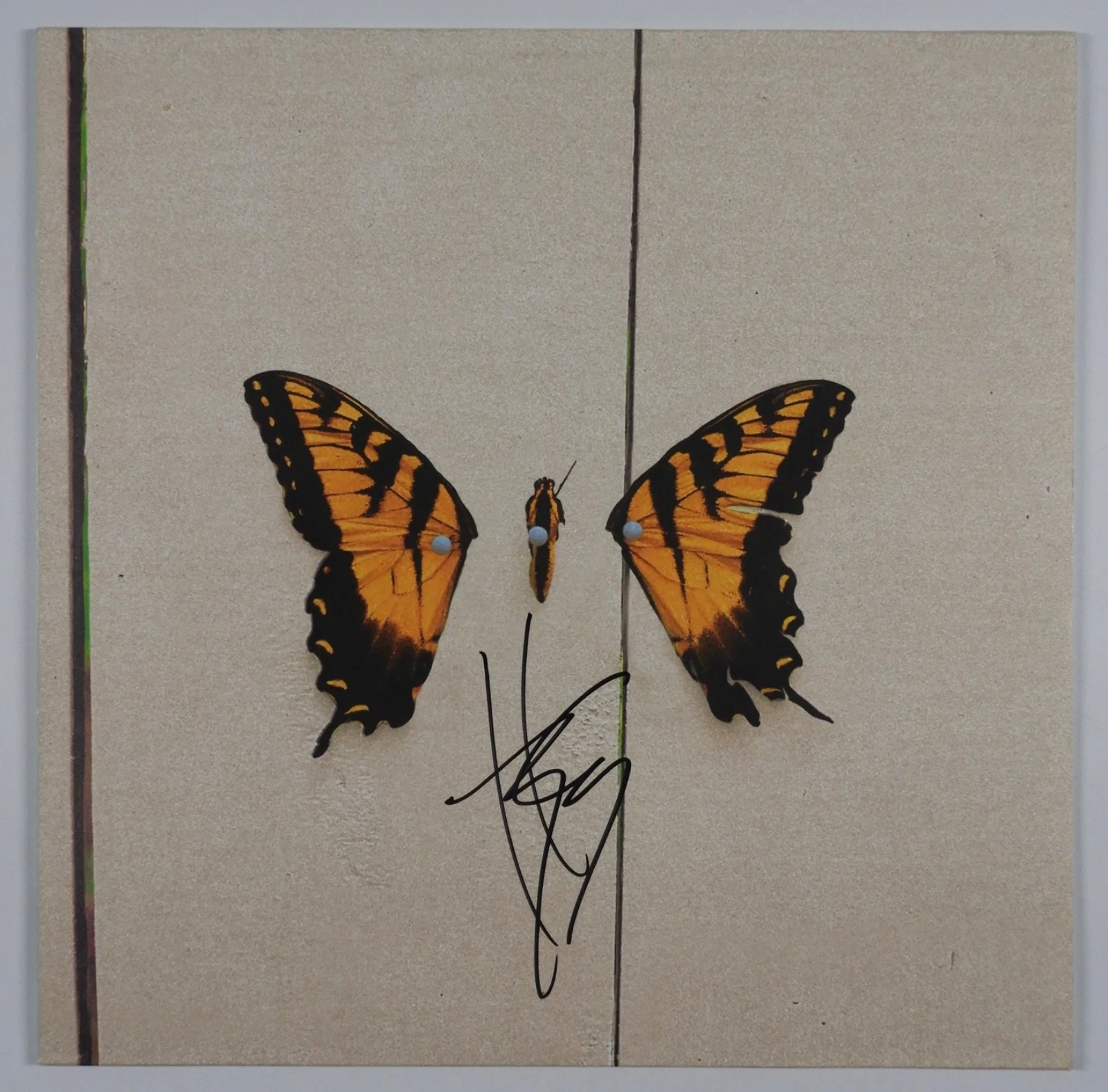 Hayley Williams JSA Signed Autograph Record Album Vinyl Paramore