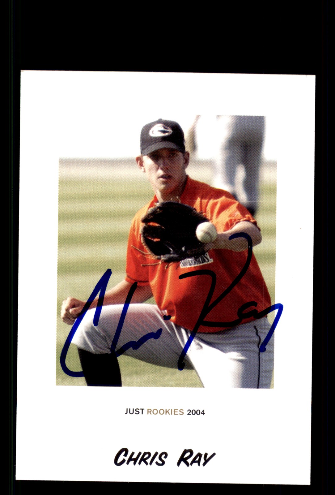 Signed Baseball Card Auto Chris Ray 2004 Just Rookies #67 Shorebirds